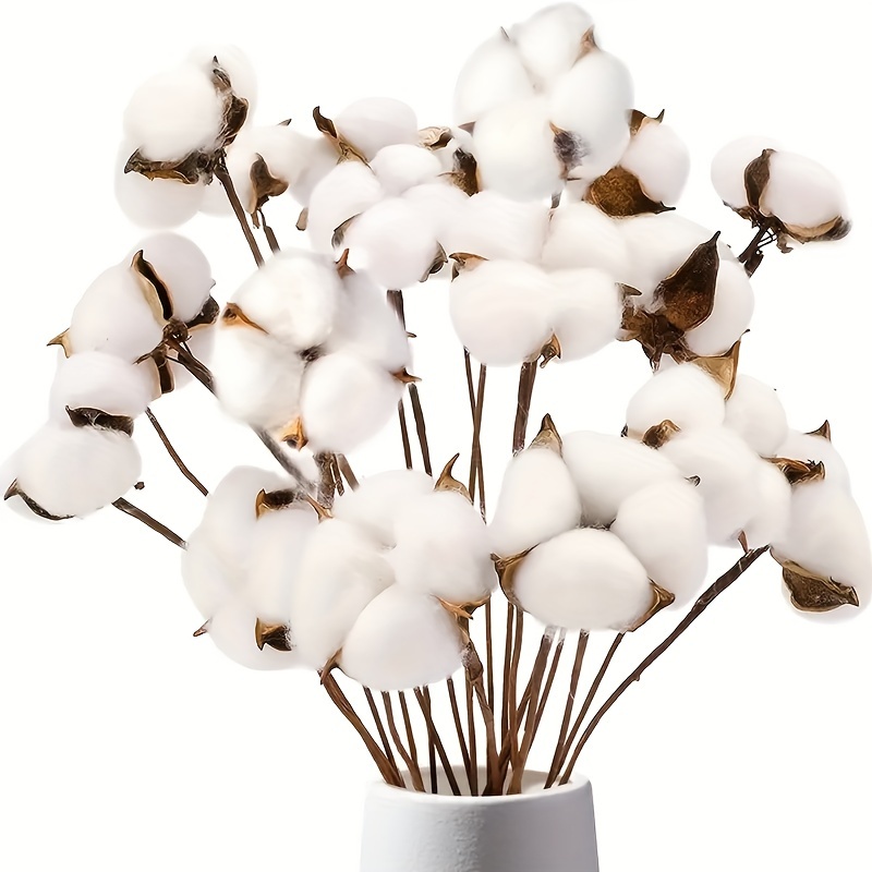 Cotton Branches - 100% Natural - Dried Flowers Forever - DIY