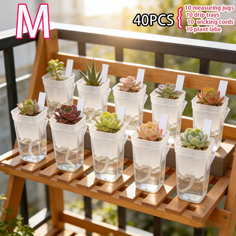 TEMU Mini Transparent Self-watering Planter Pots Irregular Shape With Water Level Indicator & Drainage Holes, Pp Plastic For Succulents, Air Plants,