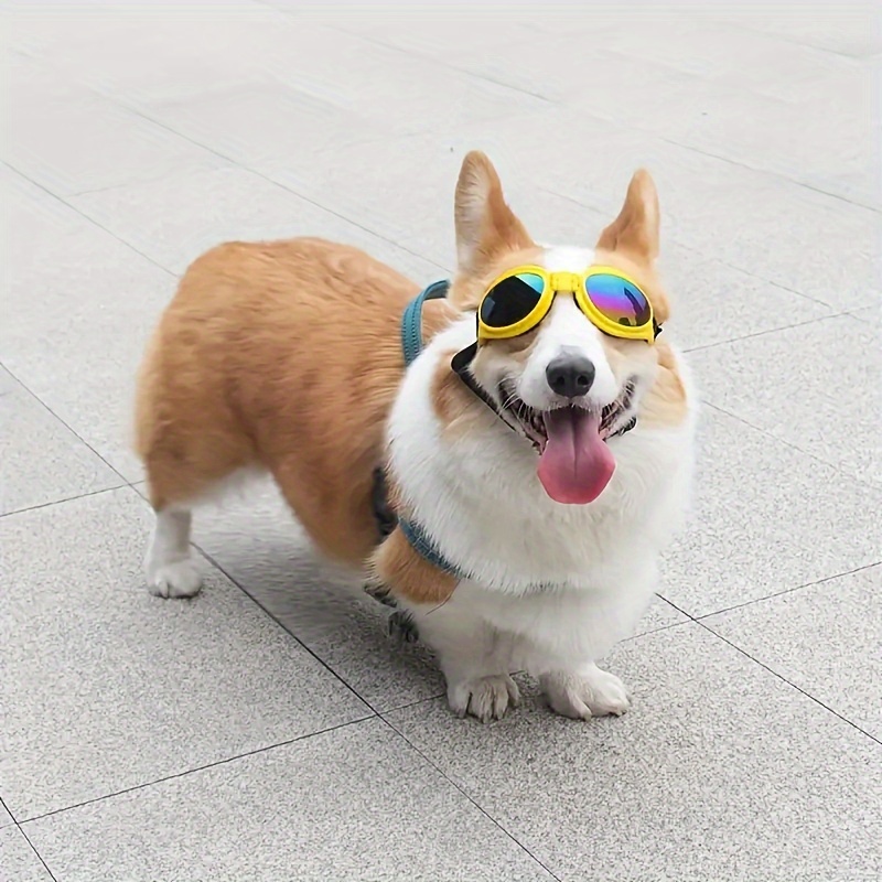 1pc of collapsible dog glasses suitable for   a stylish   with adjustable shoulder straps suitable for small and medium sized dogs Product details 5