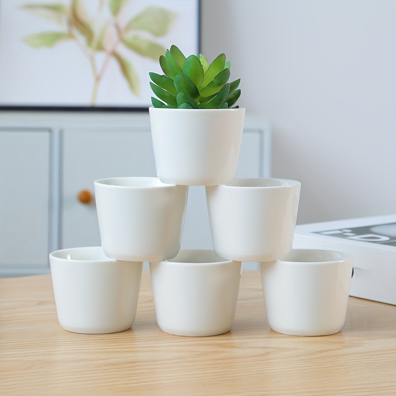 conjunto de 6  s pequeñas de cerámica para planta,   y blancas, estilo moderno,   para flores,   o cactus