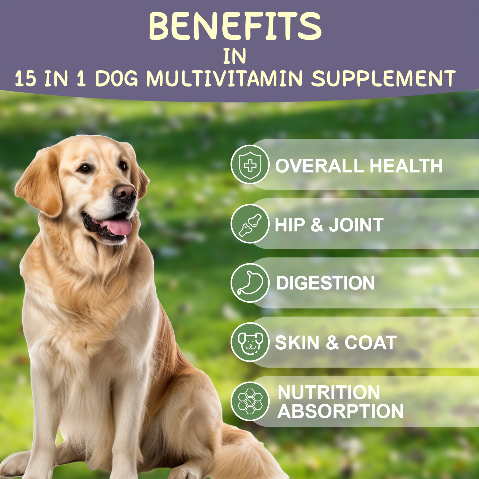 1 Dog Multivitamin Supplement Multivitamin Chews Dog Temu