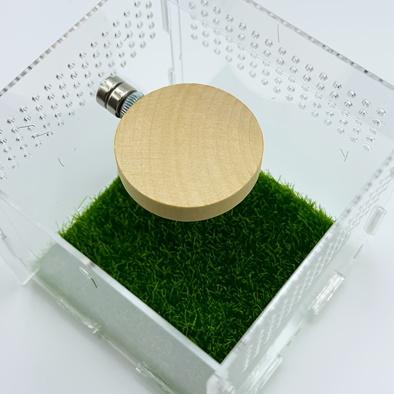 Springspinnen Terrarium Zubehör - Magnetische Wohnhöhle Für Reptilien & Gliederfüßer