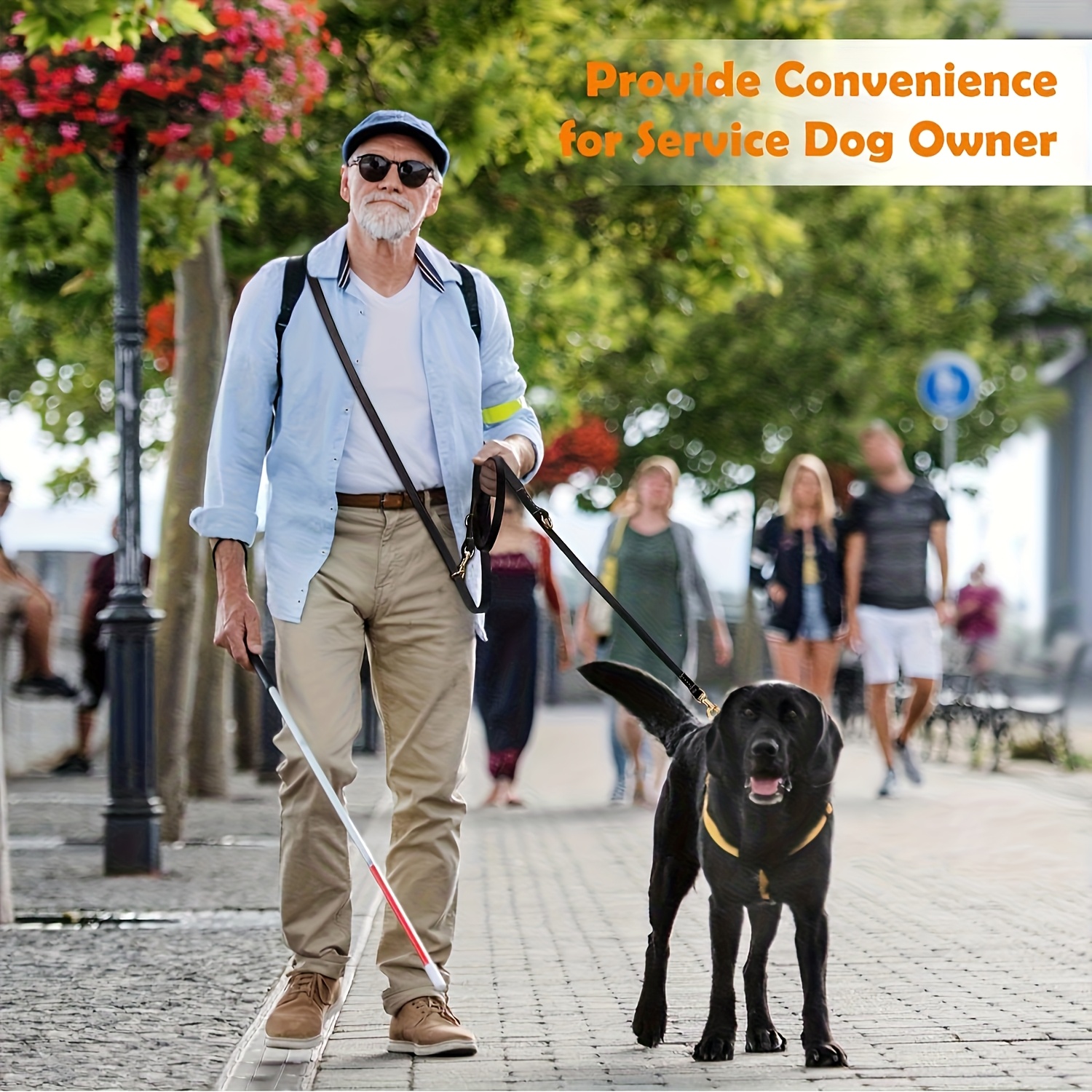Multi-Function Dog Leash, 8-Foot Hands-Free Double-Ended Design