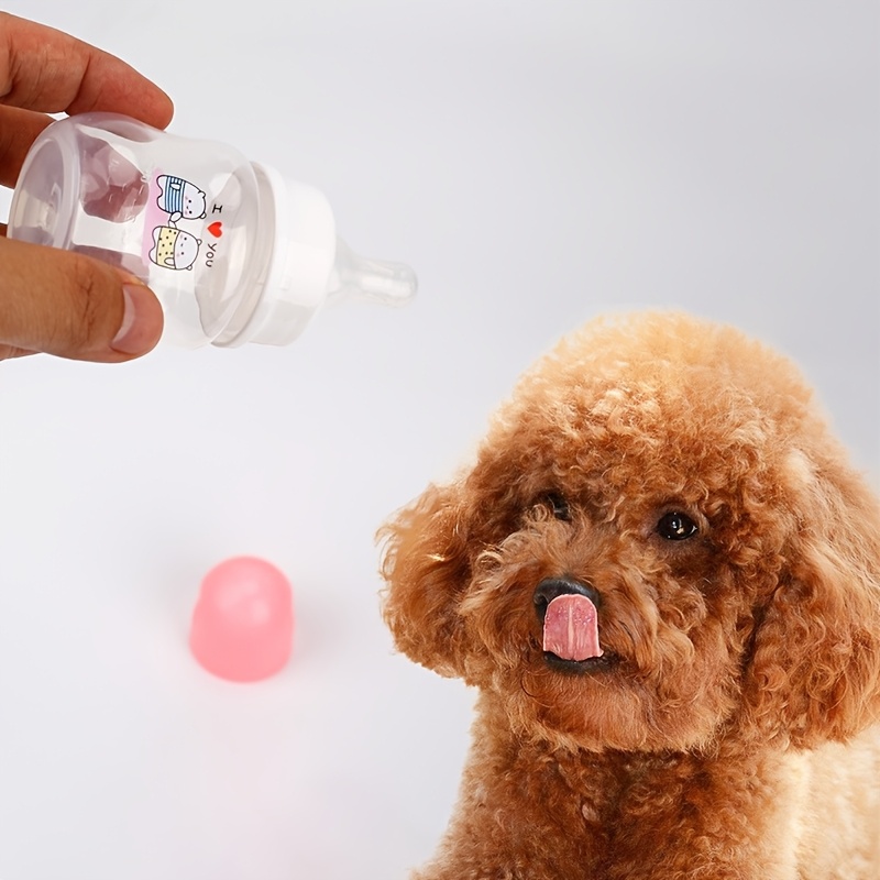 Bottle Feeding Can Month Old Puppy Drink Water Signature SELECT