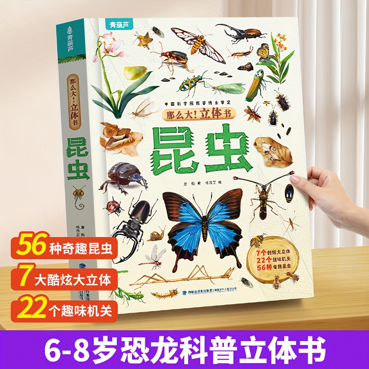

So Big! Three-dimensional Book: Insects