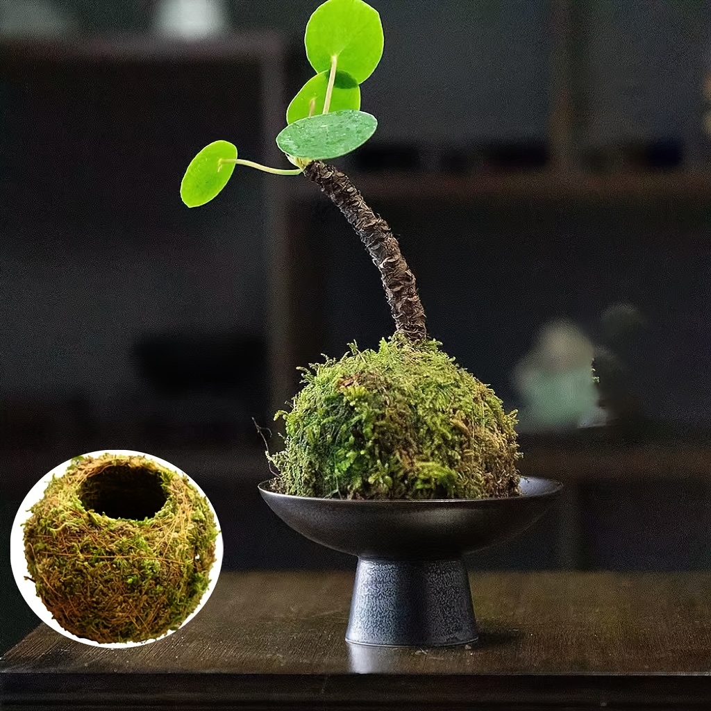 

1pc Moss Ball Planter - Lightweight, Creative For Indoor Use With Sphagnum-filled Base For Green Decor