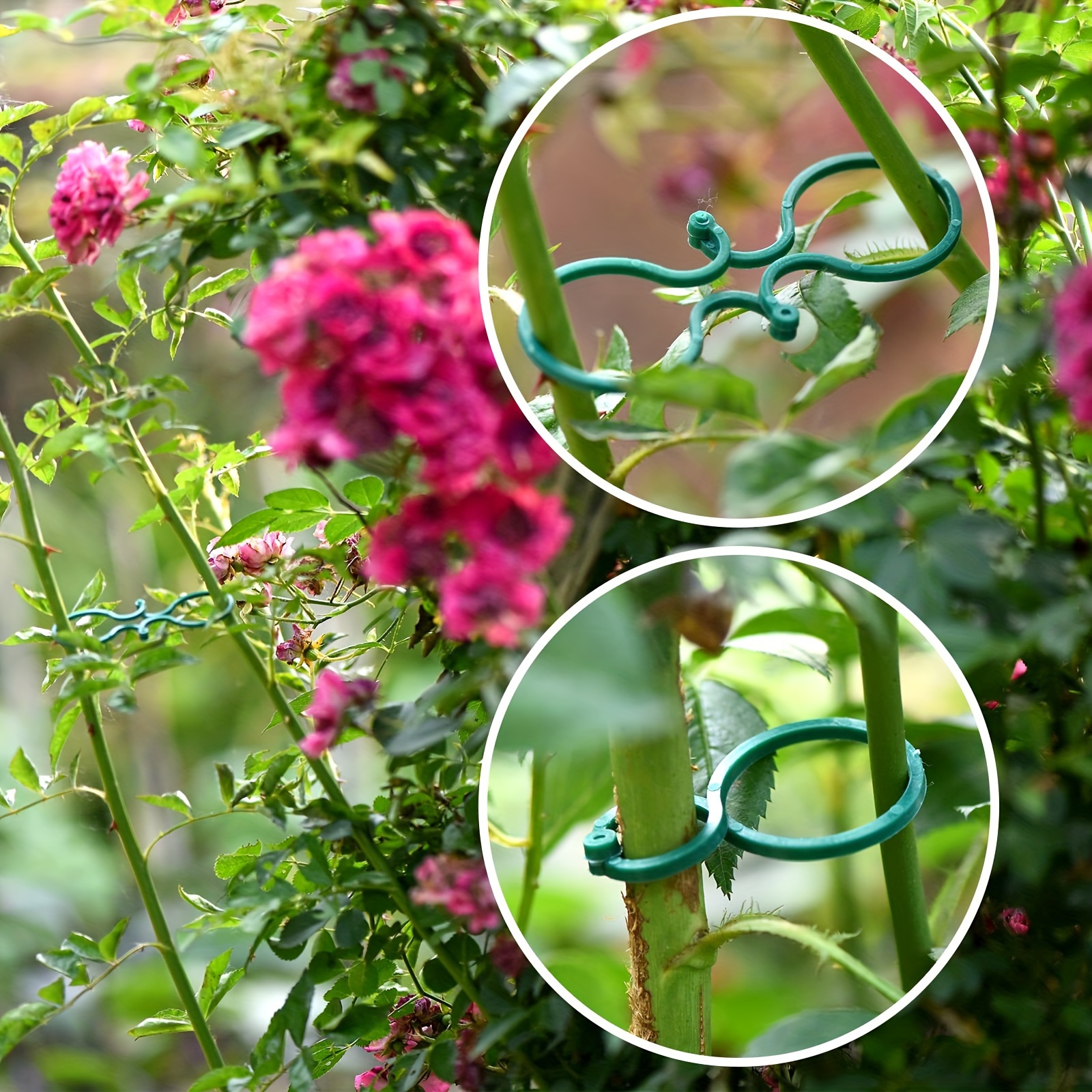 20/50/100pcs Green Plastic Plant Clips for Climbing Plants - Durable Garden Support Clips for Tomatoes, Vegetables & Flowers, Secure Plant Stakes for Healthy Growth, Easy to Use & Remove, Garden Plant Support, Flower Stability, Sturdy Construction, Vegetable Stakes, Tomato Trellis, Lightweight Clips, Weatherresistant Material, Plant Tie Clips, Garden Stake, Home Gardners, Florist Supplies