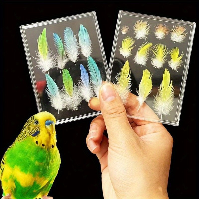Pet Bird Feather Keepsake Display Box, High-Definition Transparent - Elegant Memorial Box to Preserve the Warmth of Your Pet. Suitable for Budgerigars, Cockatiels, Lovebirds, and Various Other Bird Feather Collections. A Durable Frame for Bird
