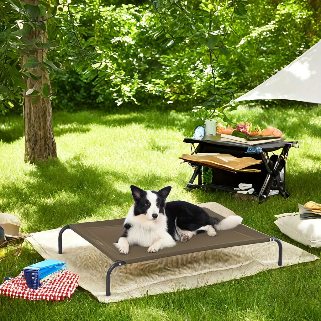 Elevated Dog Bed for Cool Comfort