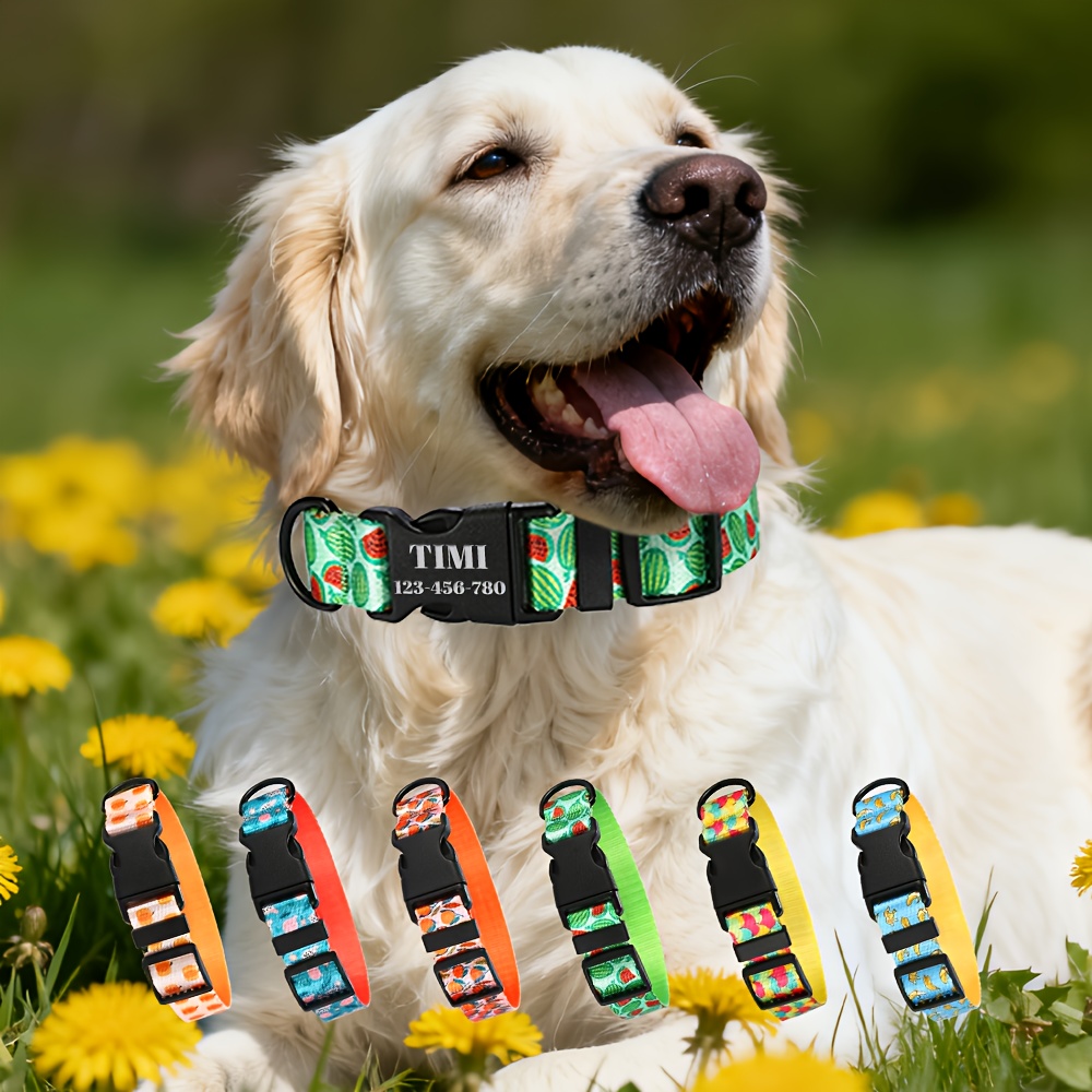 Adjustable Fruit Themed Pet Collar with Custom Name