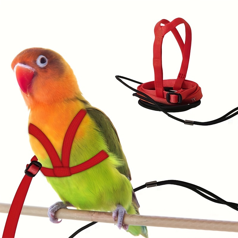 Adjustable Parrot Bird Harness 6 foot Leash Anti bite Temu