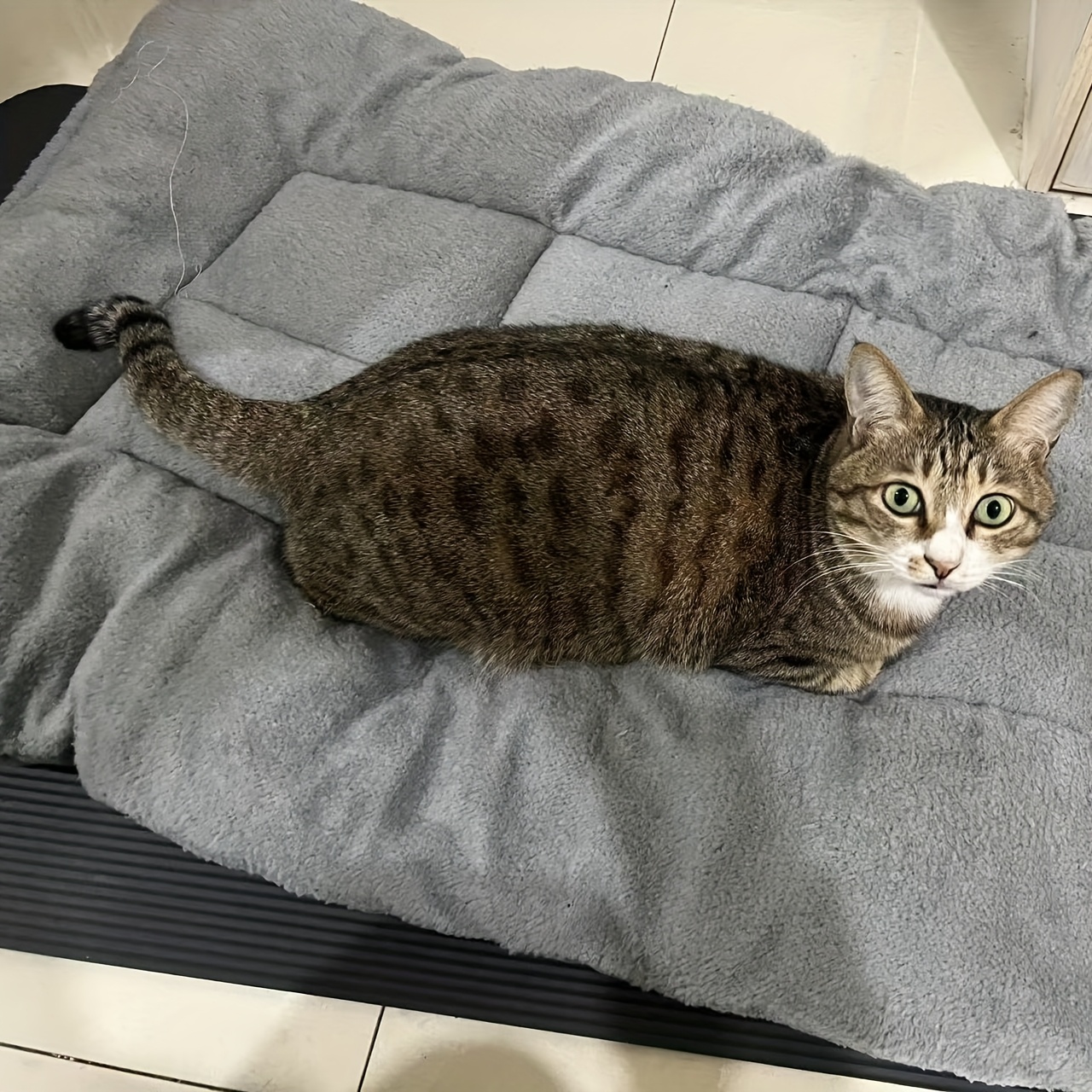 extra large plush dog bed sofa cat nest dog cage mat thickened super soft polyester pet mat suitable for small medium and large cats and dogs cute rectangular sofa Product details 5