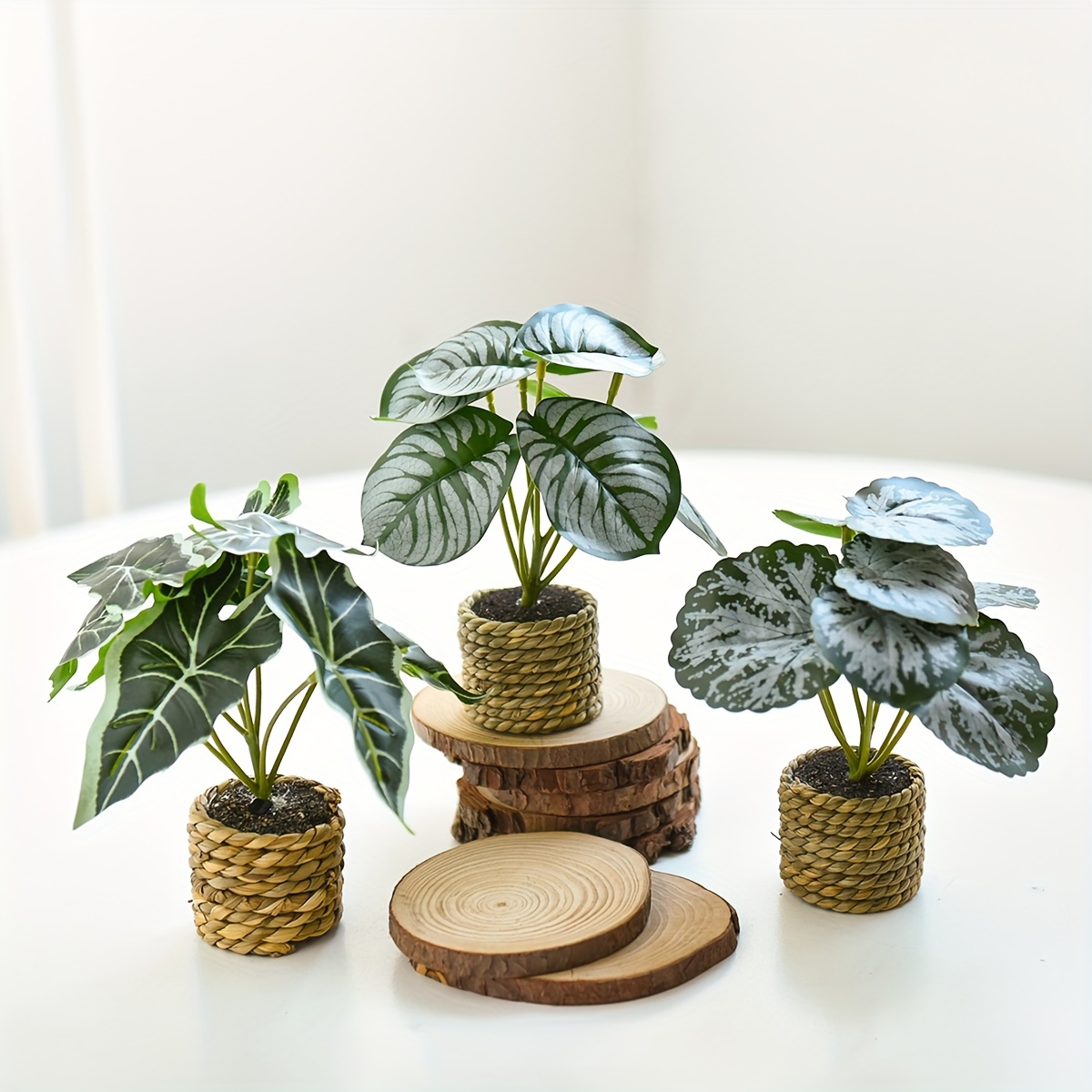 

3/6-piece Set, Miniature Artificial Plants In Woven Baskets, Indoor Home Decor, Plastic Eucalyptus Trees For Office Desk, Bathroom, Bedroom, No Power Required