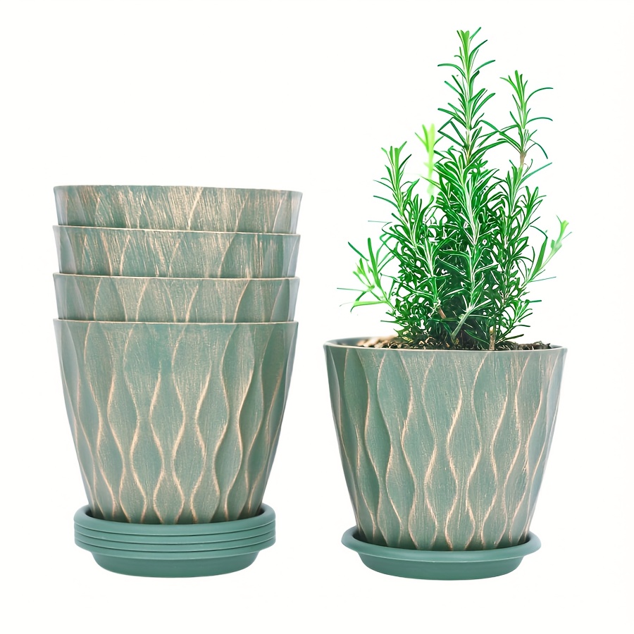 pflanztopf fr monstera Tipps zur Pflege deiner Pflanze : Monstera deliciosa  PflanzenFuerAlle