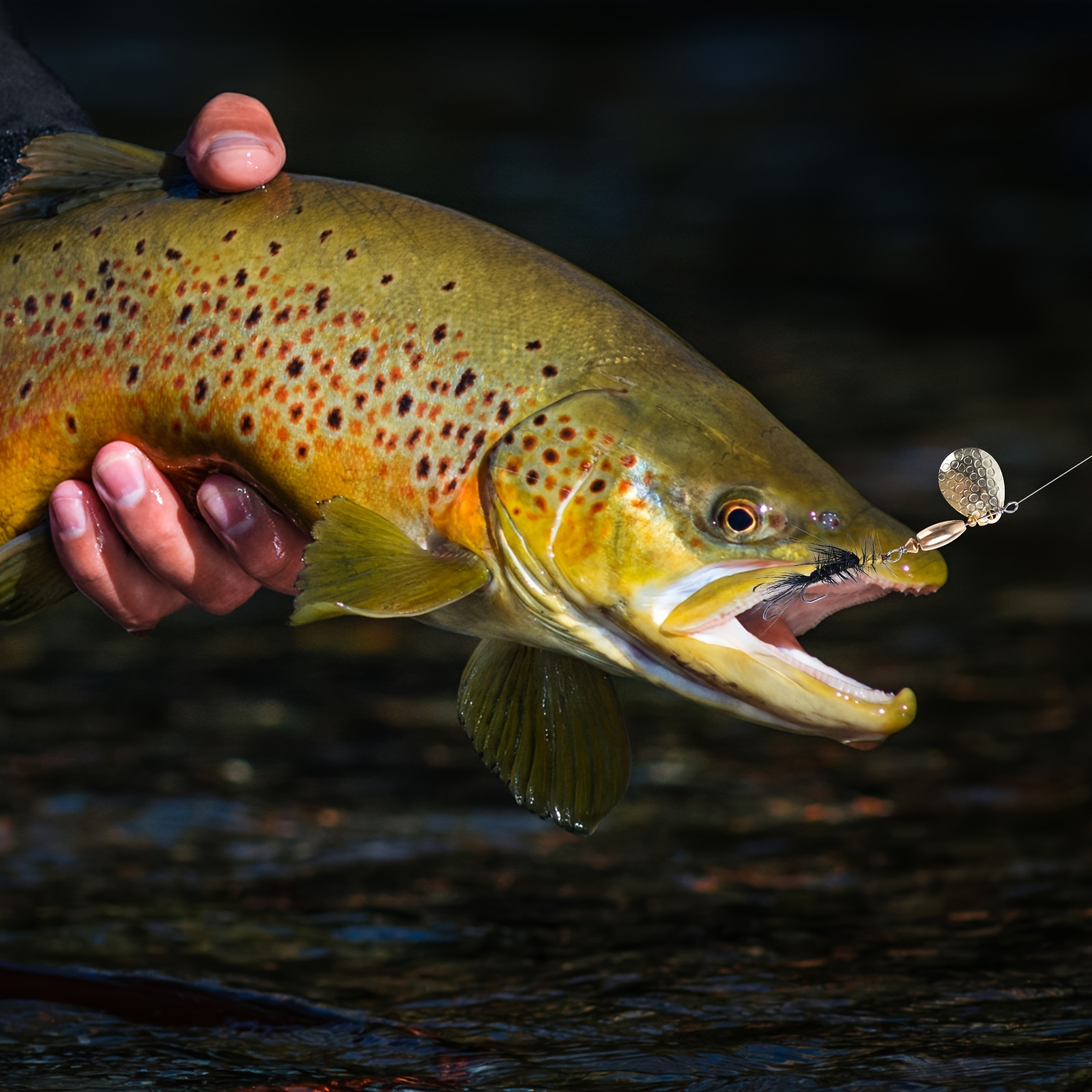 Fly Fishing Spinnerbaits Trout Lures Freshwater - Temu