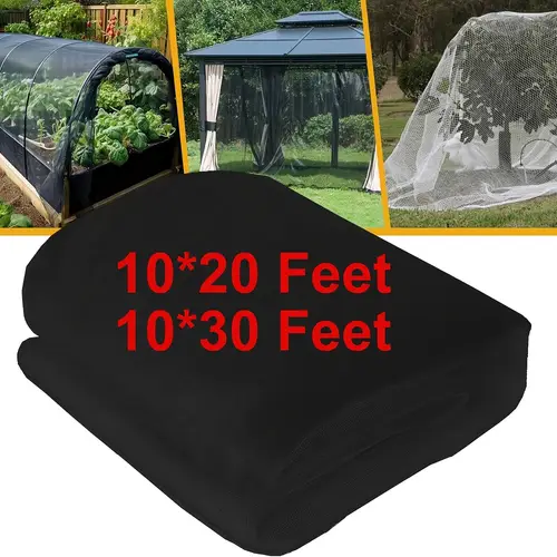 mosquito netting outdoor - Morocco
