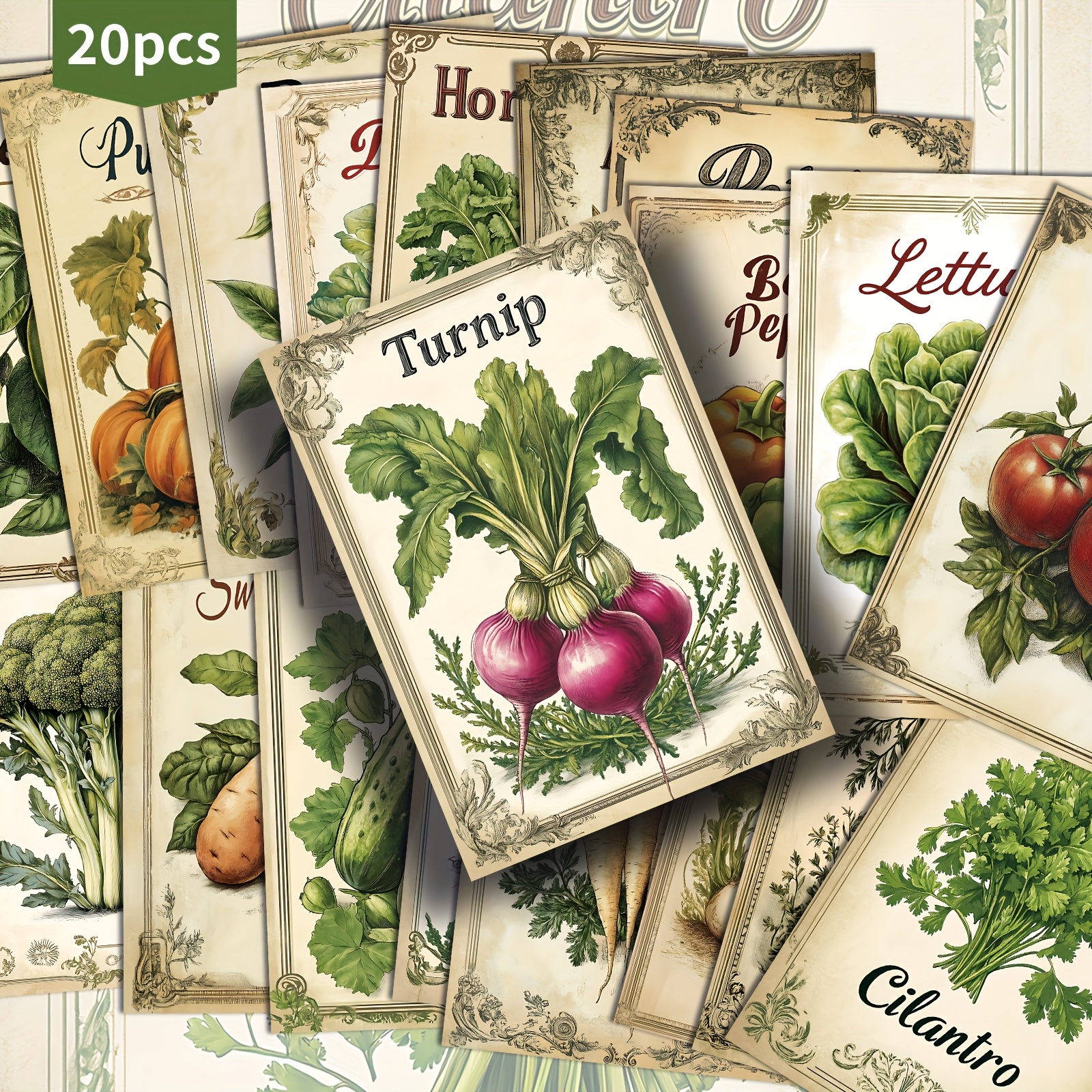 TEMU 20-pack Vintage Vegetable Postcards - Antique Kitchen Poster Designs With Beet, Parsley, - 4x6 Inch Junk Journals, Scrapbooking, Planners,