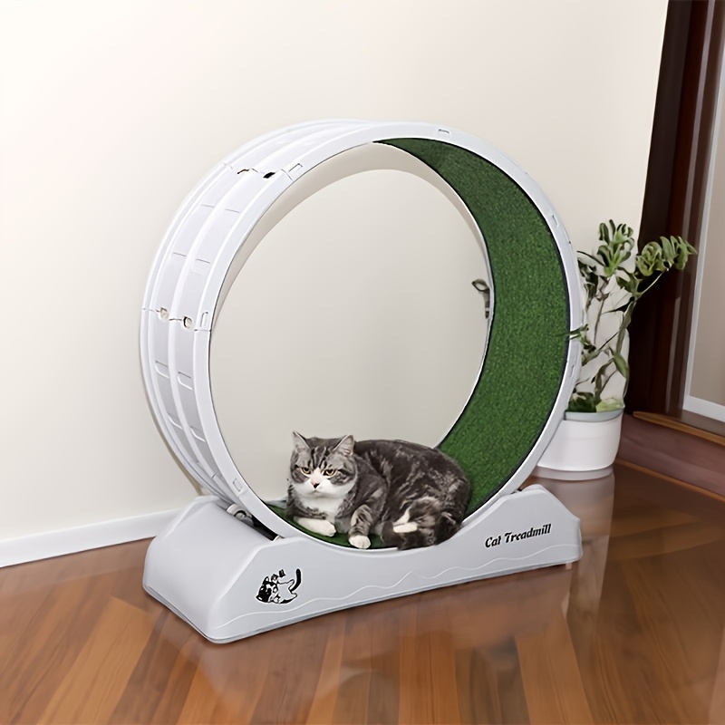 キャットローラー トレッドミル キャットホイール ランニング