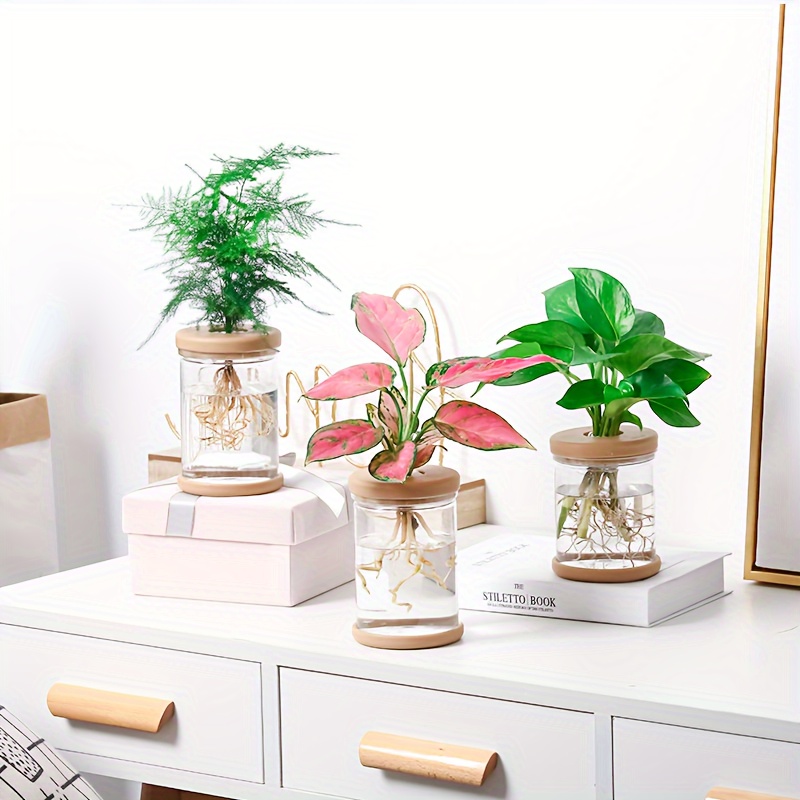 with Premium Pots & Planters - Shop Now - Temu