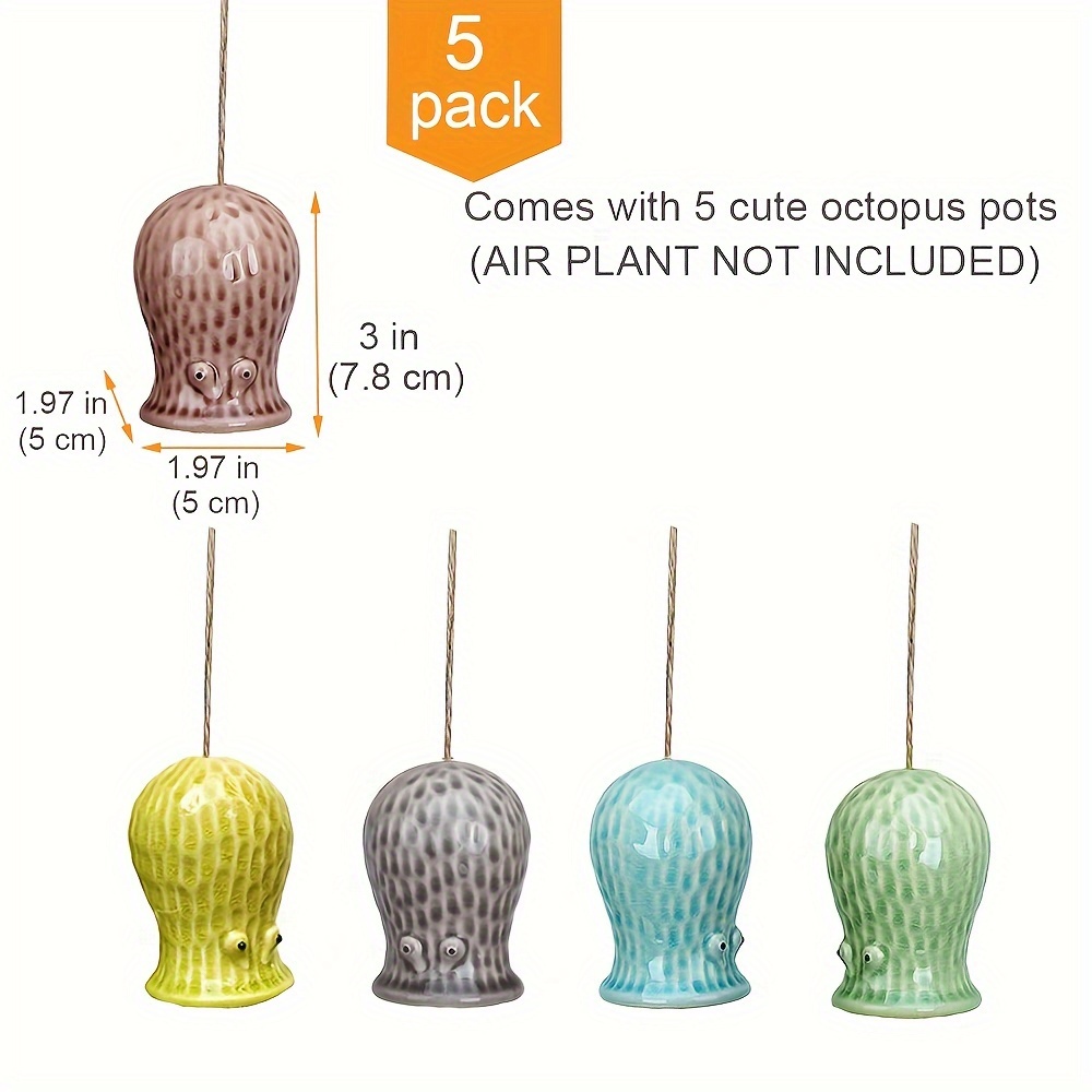 5 pack cute octopus air plant holder unique ceramic - Temu Germany