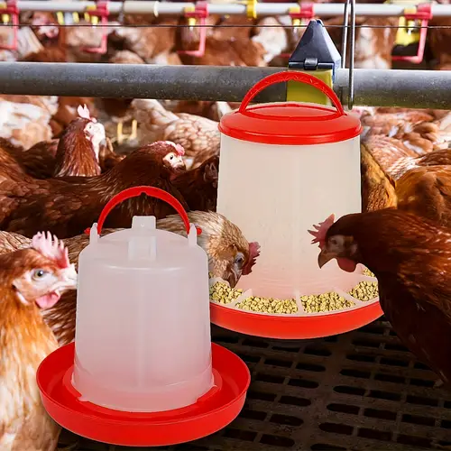 Water Feeding System Rabbit chicken water feeder sold on Temu United States