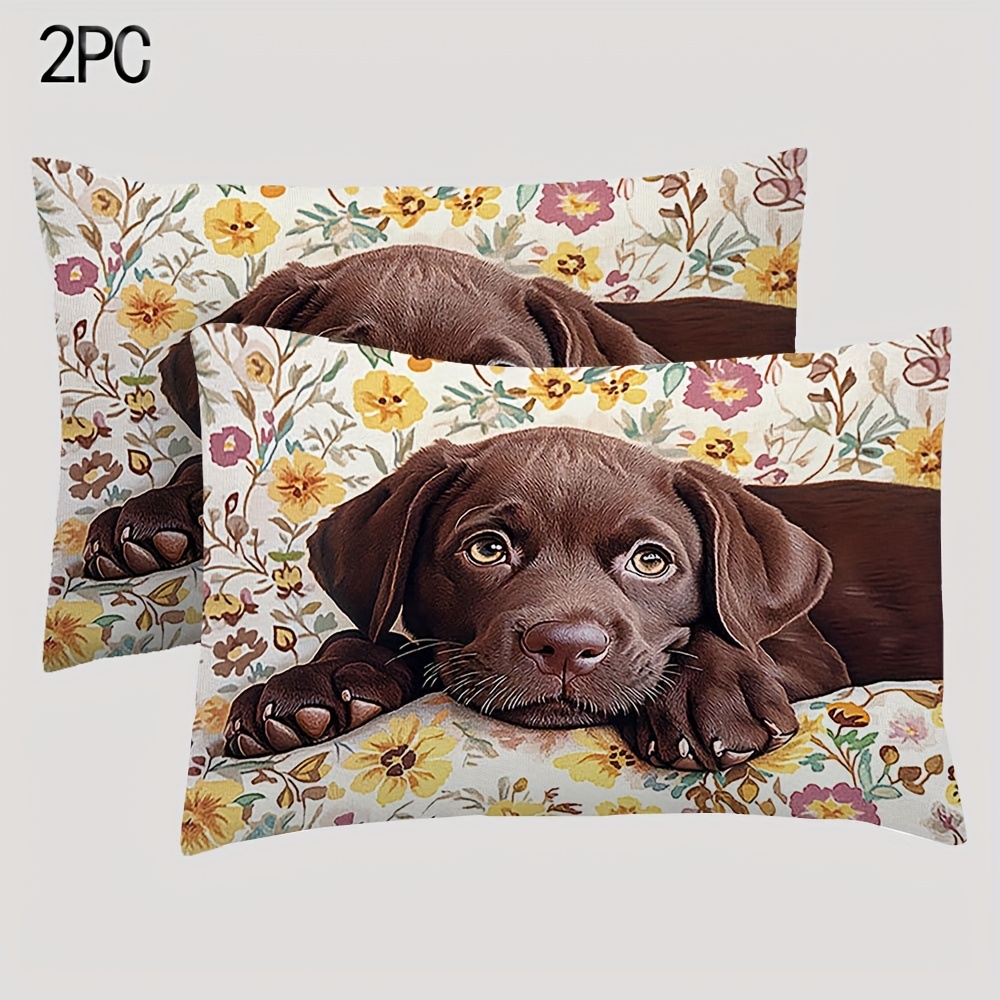 _DE PRODUCTOS _GATO Temu