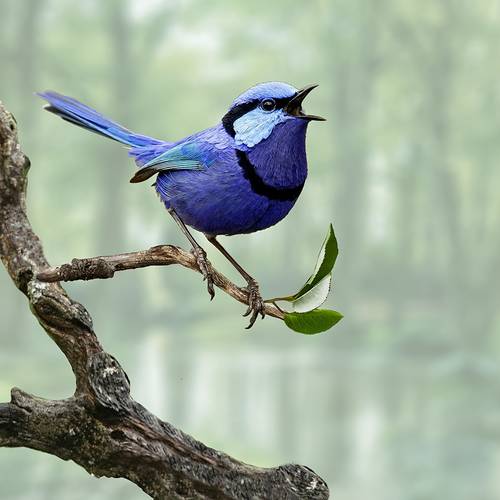 1pc metal bird wall decoration 3d bird wall carving colorful outdoor wall art iron hanging decoration suitable for courtyard room outdoor sculpture iron outdoor garden yard hanging decoration metal handmade bird wall art fence decoration living room terrace balcony indoor wall decoration