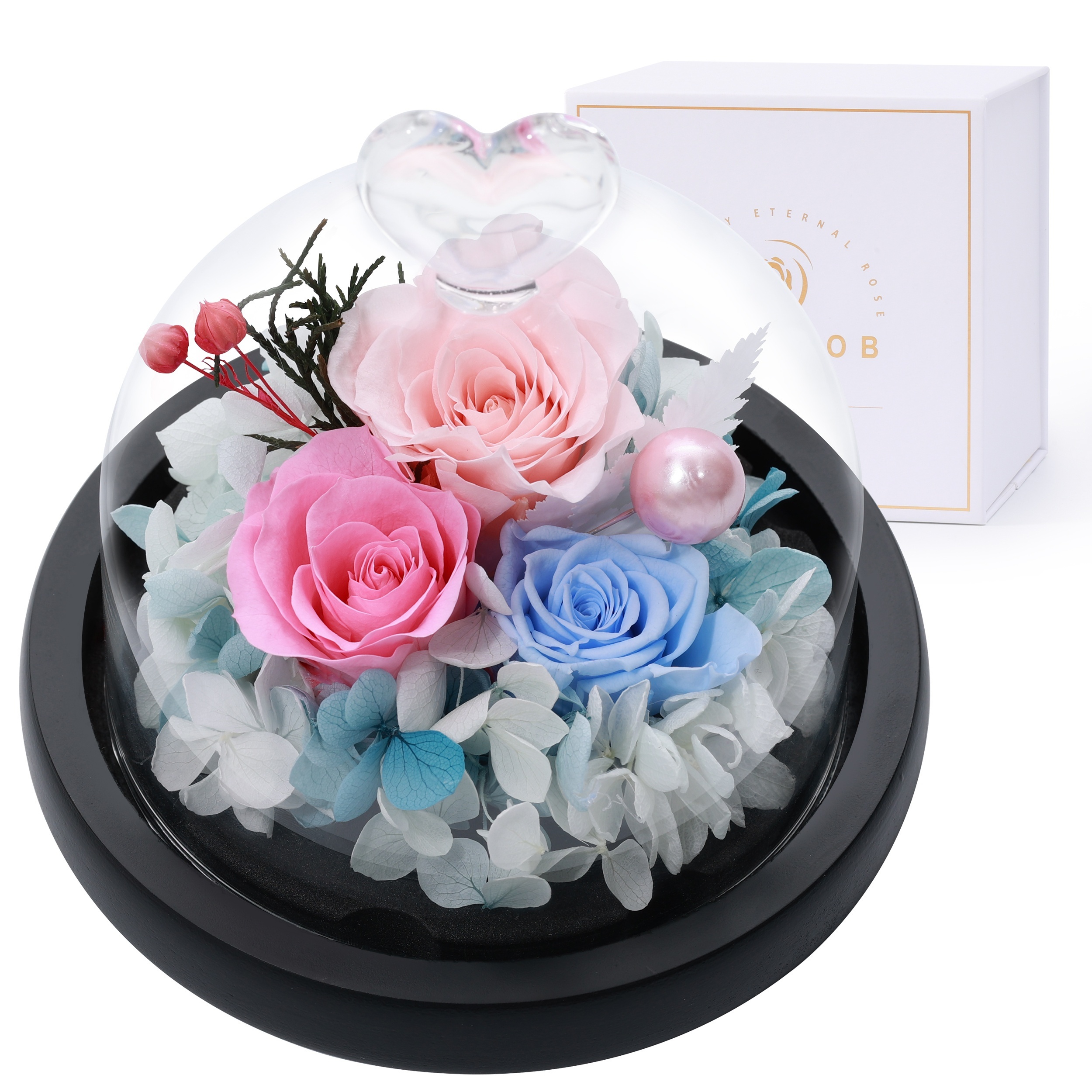 Preserved Real Rose with Necklace Enchanted Rose Flower Gifts Eternal Real  Flower Romantic Gift 