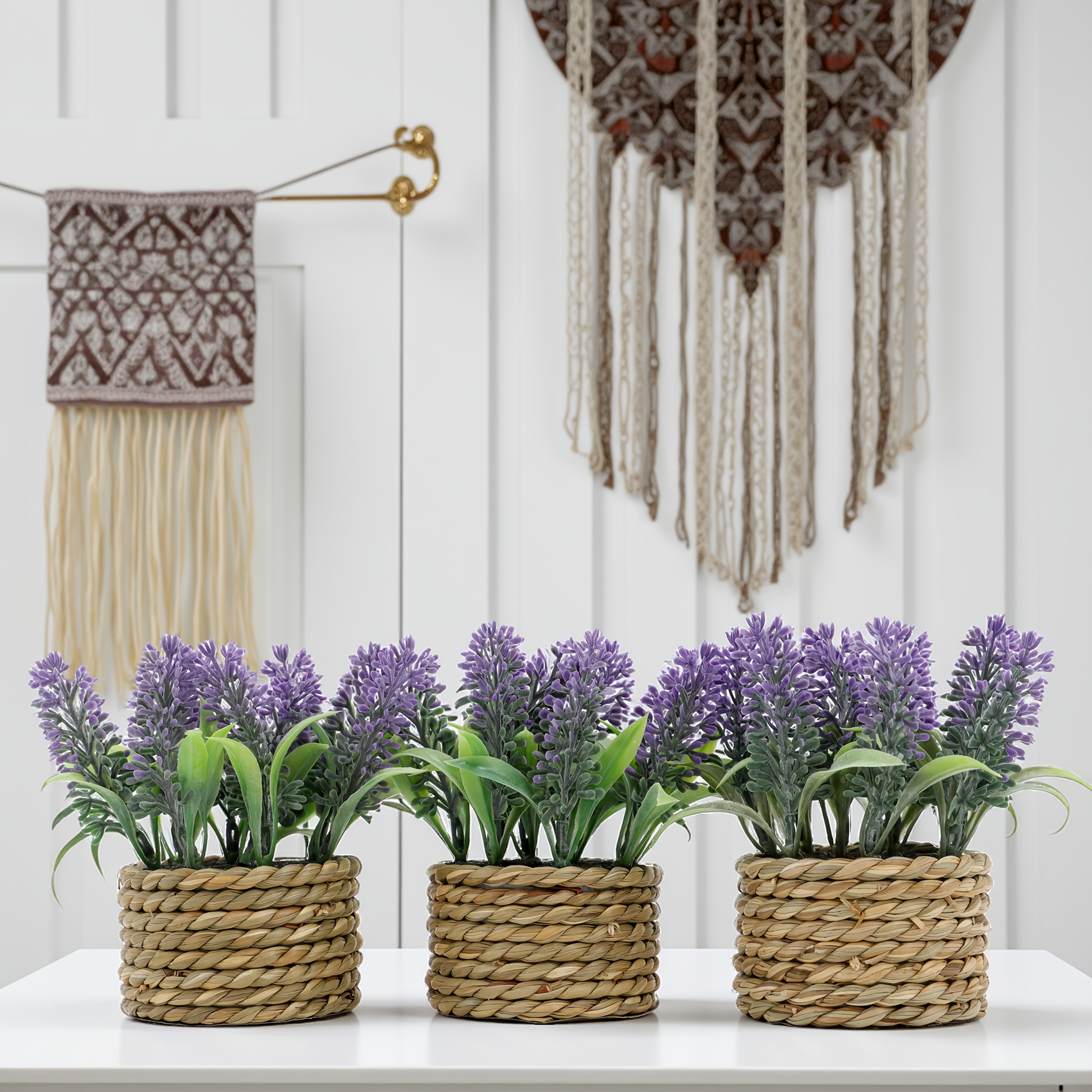 planting spanish lavender Otto Quast Spanish Lavender