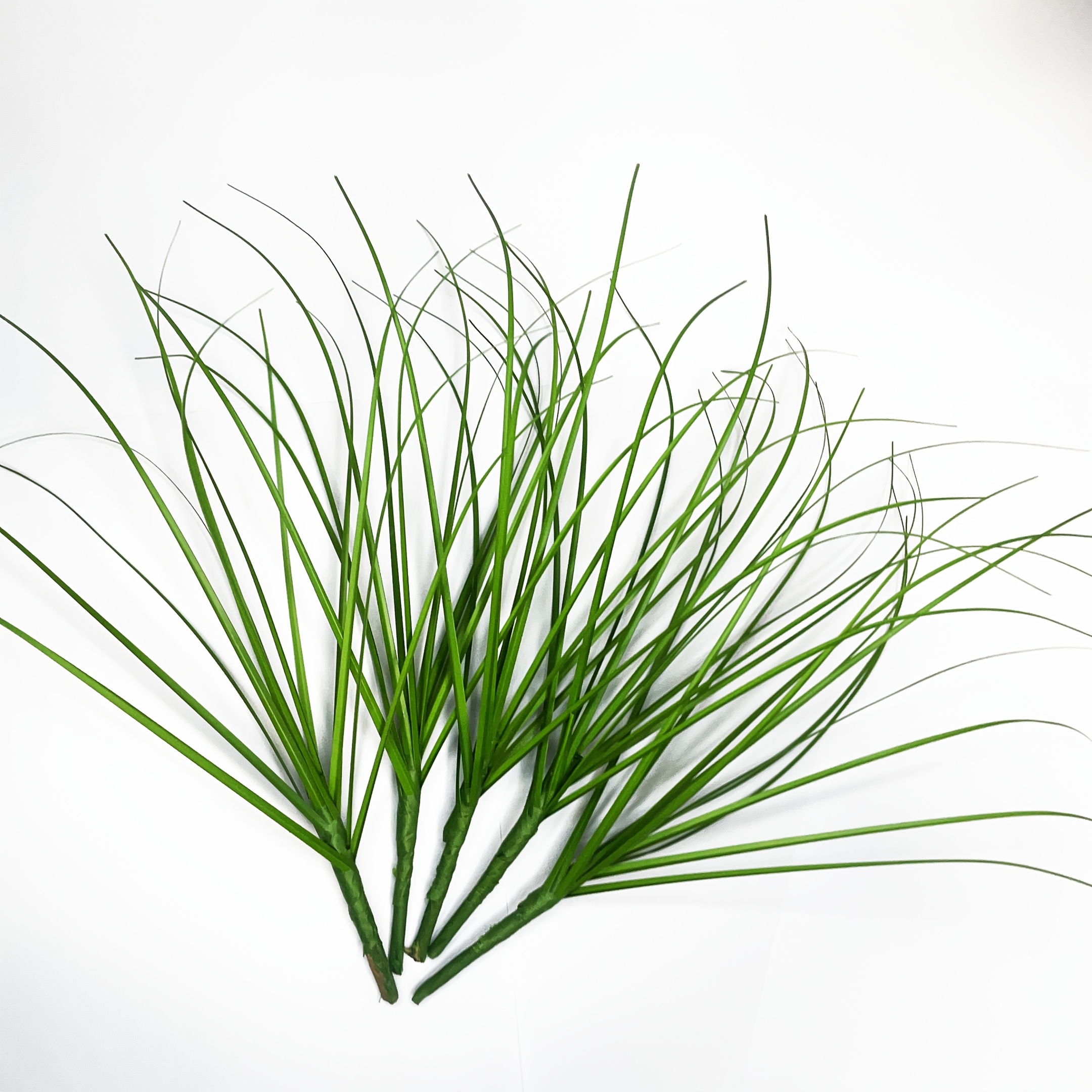 Image of 5pcs Outdoor Artificial , Simulated And Summer, Garden Lawn Decoration, Outdoor Flowerpot Decoration, Courtyard Decoration, Plastic Material, Artificial Onion Grass, Artificial Grass For Wedding Decor