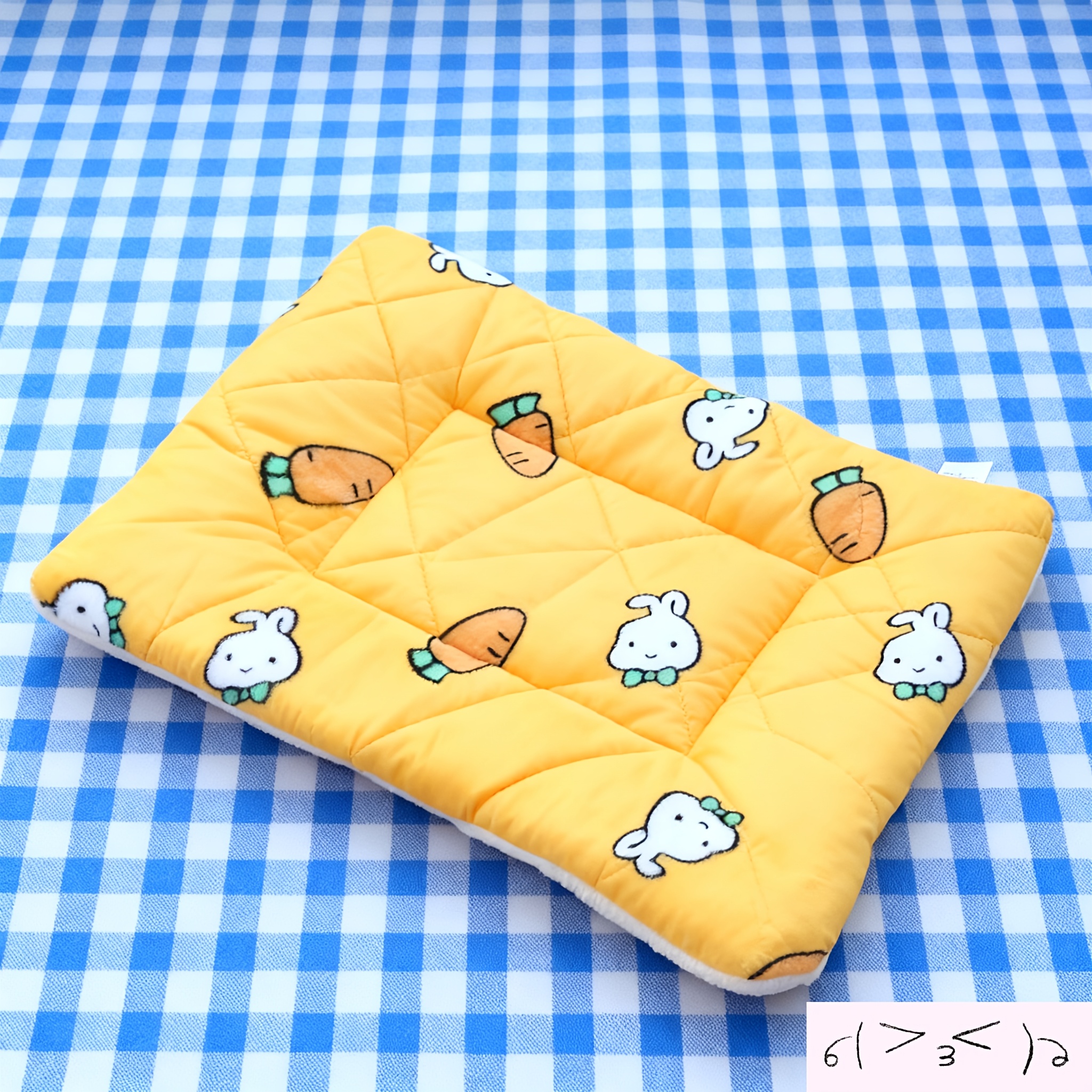 TEMU Thickened Cat Bed, Cat Sleeping Pad, Dog Bed, Coral Guinea Pig Blanket Mat, Mat