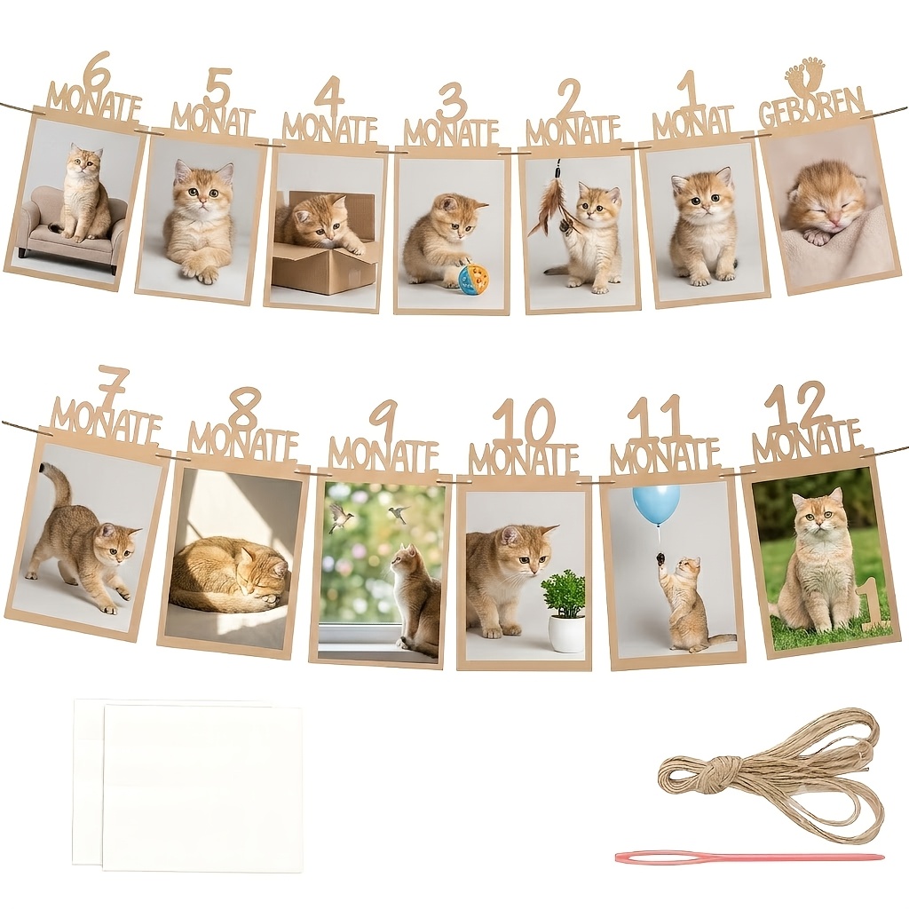 TEMU " 1st Birthday Decoration 1st Birthday 12 Months Photo Banner