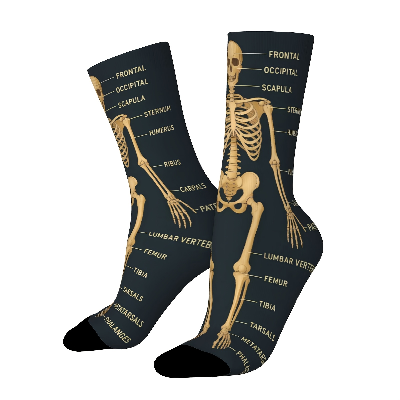 E-shop Ein Paar Unisex Outdoor-Socken mit Skelett-Muster, mittlere Wadenlänge, maschinenwaschbar, geeignet für Outdoor-Sportbegeisterte, bequem und