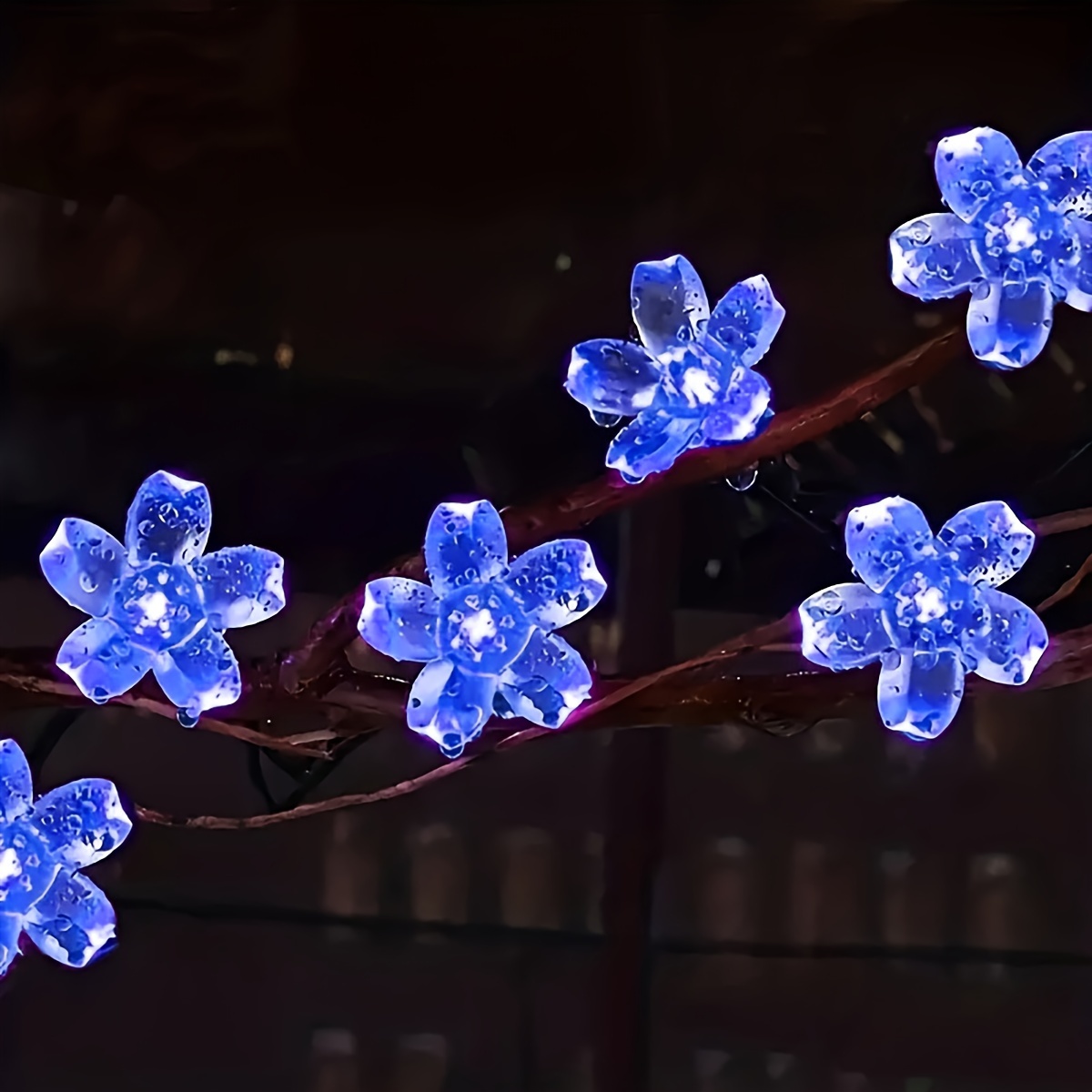 Solar Lights