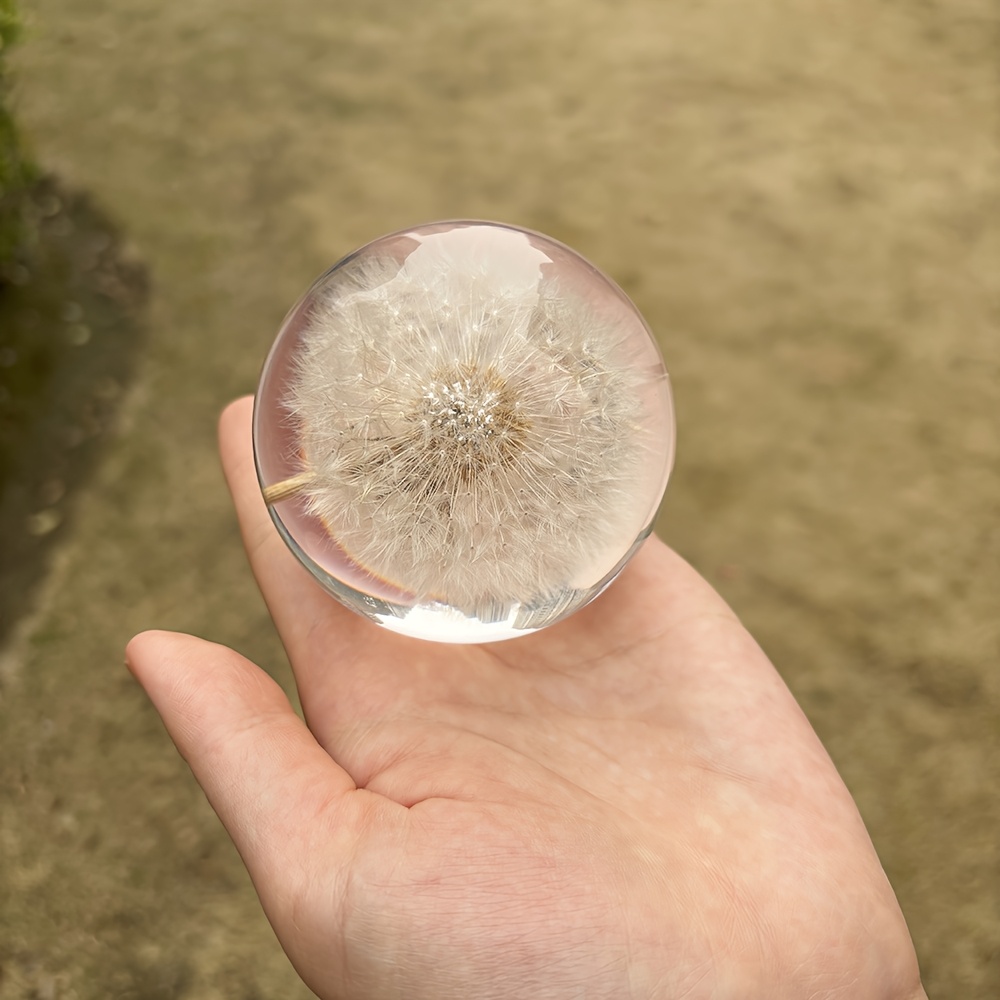 [new Arrival] Mini Acrylic Dandelion - Transparent Ball With Floating Dandelion Seed, Aesthetic Desk Decor For Office/bedroom, Cute Gift For Women/girls (5.7cm And 7cm)
