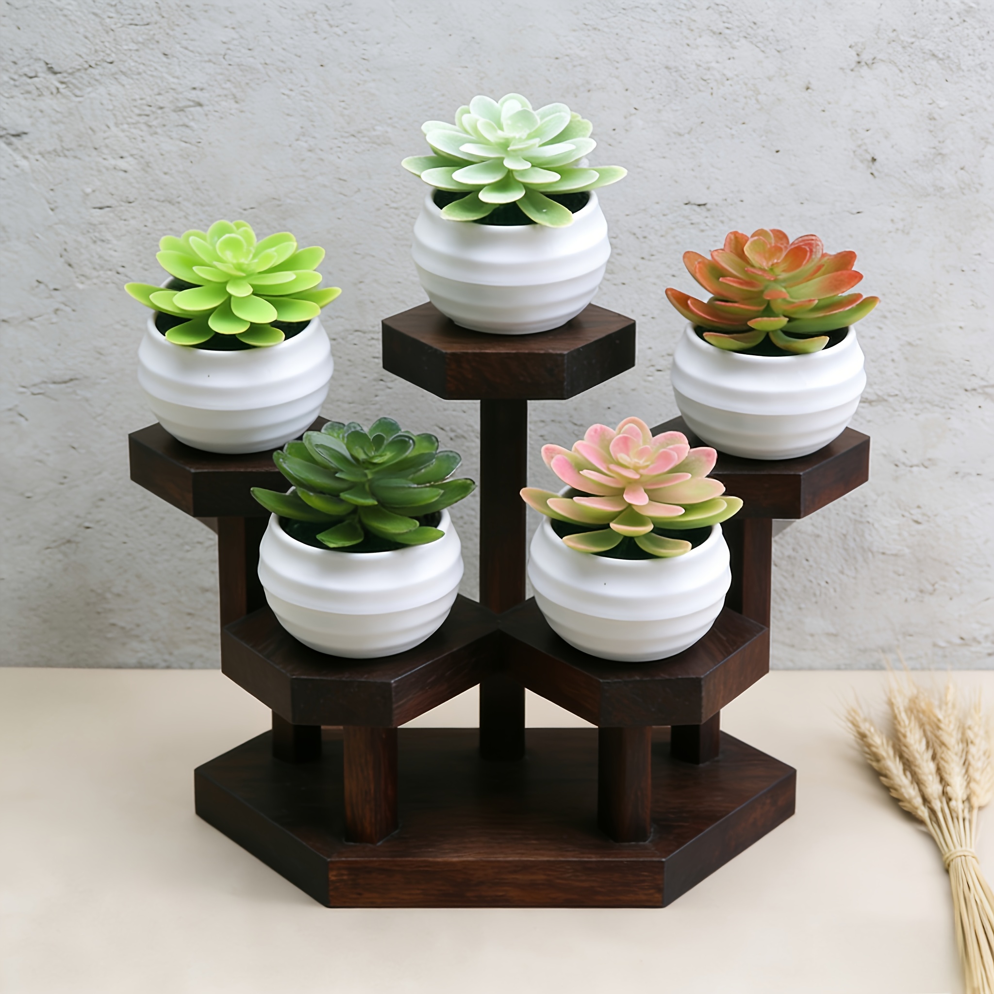succulent kalanchoe Vibrant Kalanchoe Succulents