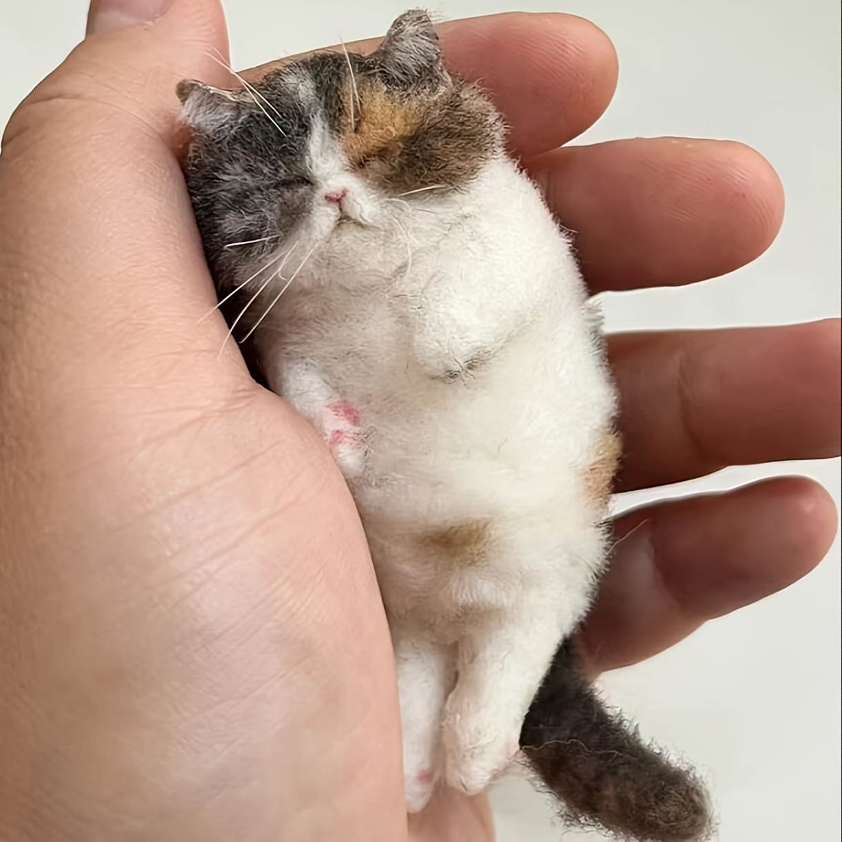 Image of Diy Cat Needle Felt Craft Kit Suitable For Beginners & Adults - Complete Handmade Felting Supplies With Hand Needles, Pincushions, Felt Sheets & Manual For Cat-themed, Suitable For - Crafting