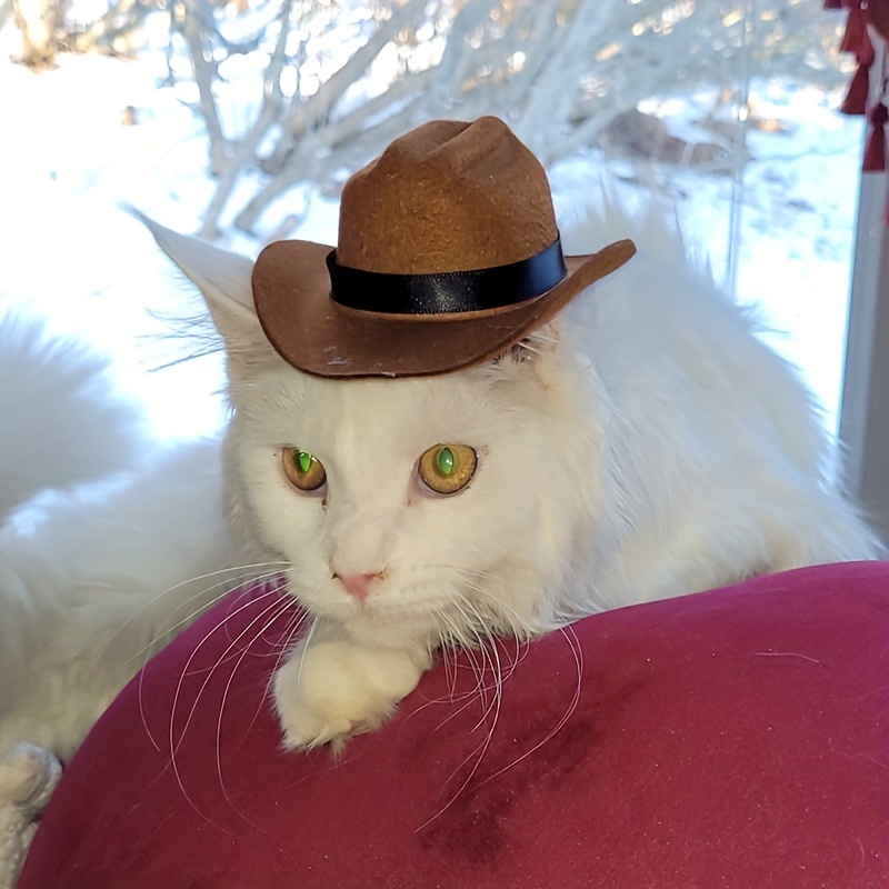 

Mini Cowboy Hat For Cats And Small Dogs - All-season Polyester Pet Hat With Non-woven Fabric Weaving - Perfect For Parties And Festivals - Small Breed Recommended Pullover Hat