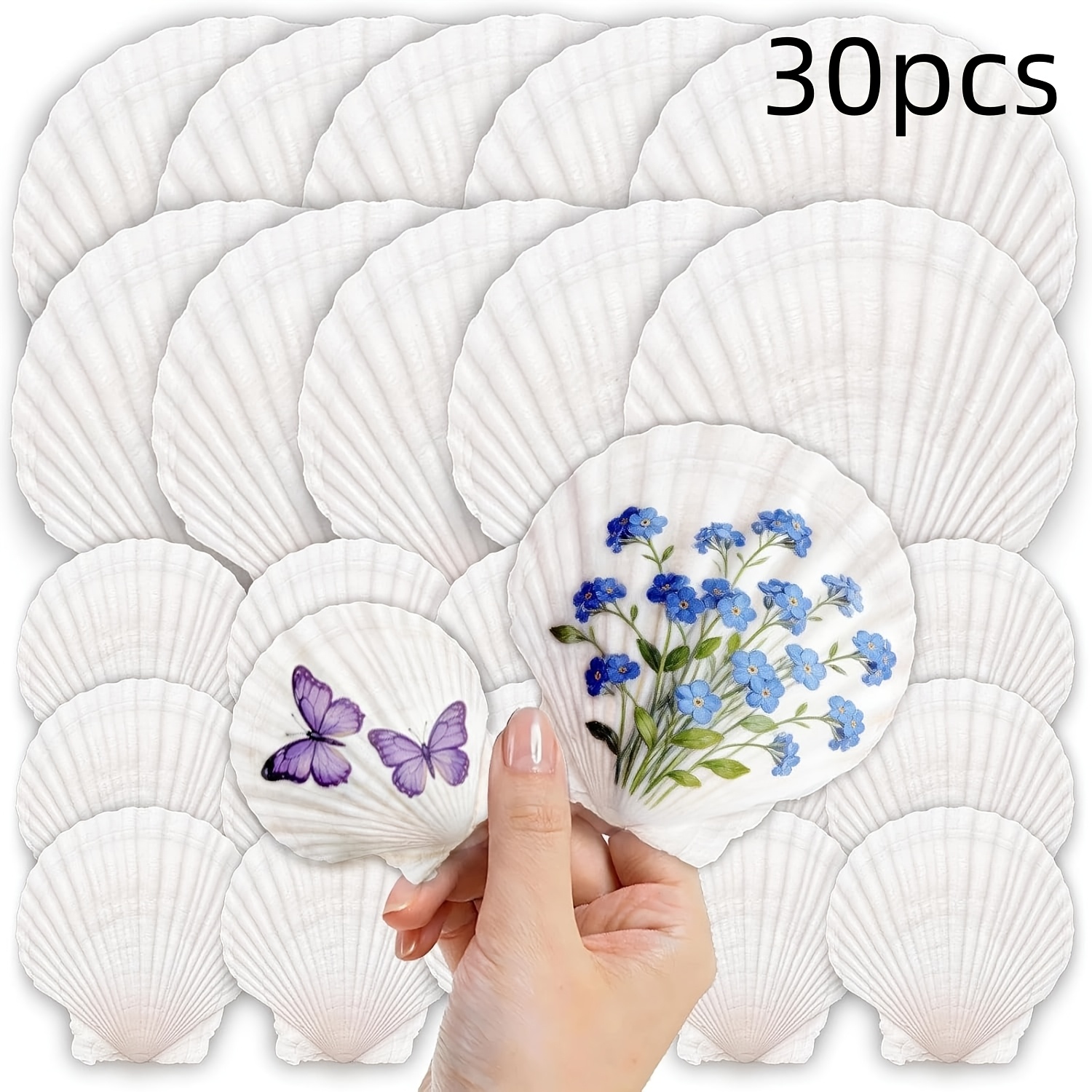 TEMU 30pcs Large Crafts, 15pcs 7-8cm And 15pcs 4-5cm Shell Paintings, White Shell , Decoration, Ocean-themed Party Supplies (2 Size Ranges)
