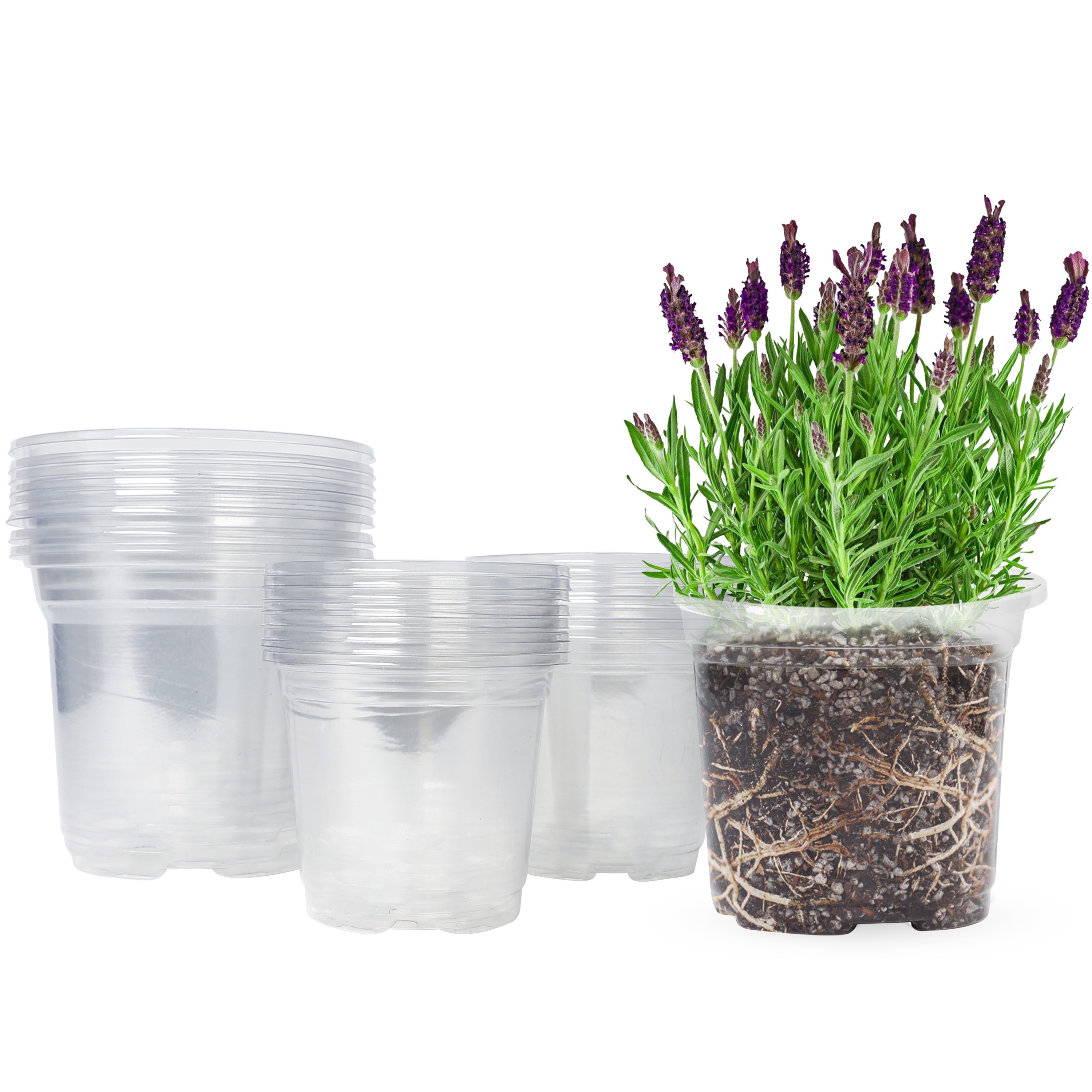 Image of 24/30pcs Clear Plastic Starter Pots With Drainage Holes, 3.5-4-5 Inch Transparent Seed Starting Containers For Indoor & Outdoor Plant Growing, Pots For Plants