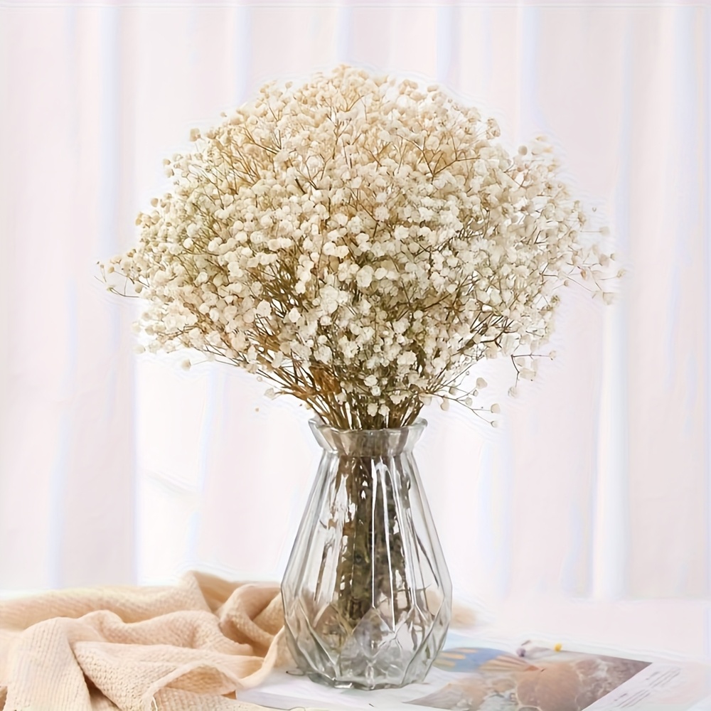 6pcs elegant philosophical artificial babys breath flower bouquet high quality plastic gypsophila stems no maintenance no water electricity needed versatile spring summer decor for weddings parties home christmas valentines day mothers day graduation baby nursery decor party decorations delicate   realistic floral  