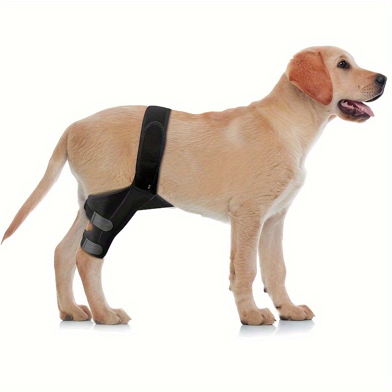 

Dog Knee Brace Leg Braces - Dog Canine Knee Brace Wrap Dog Knee Brace For Torn Acl Leg Joint Pain Muscle Sore Pet Brace Reduces Pain And Inflammation