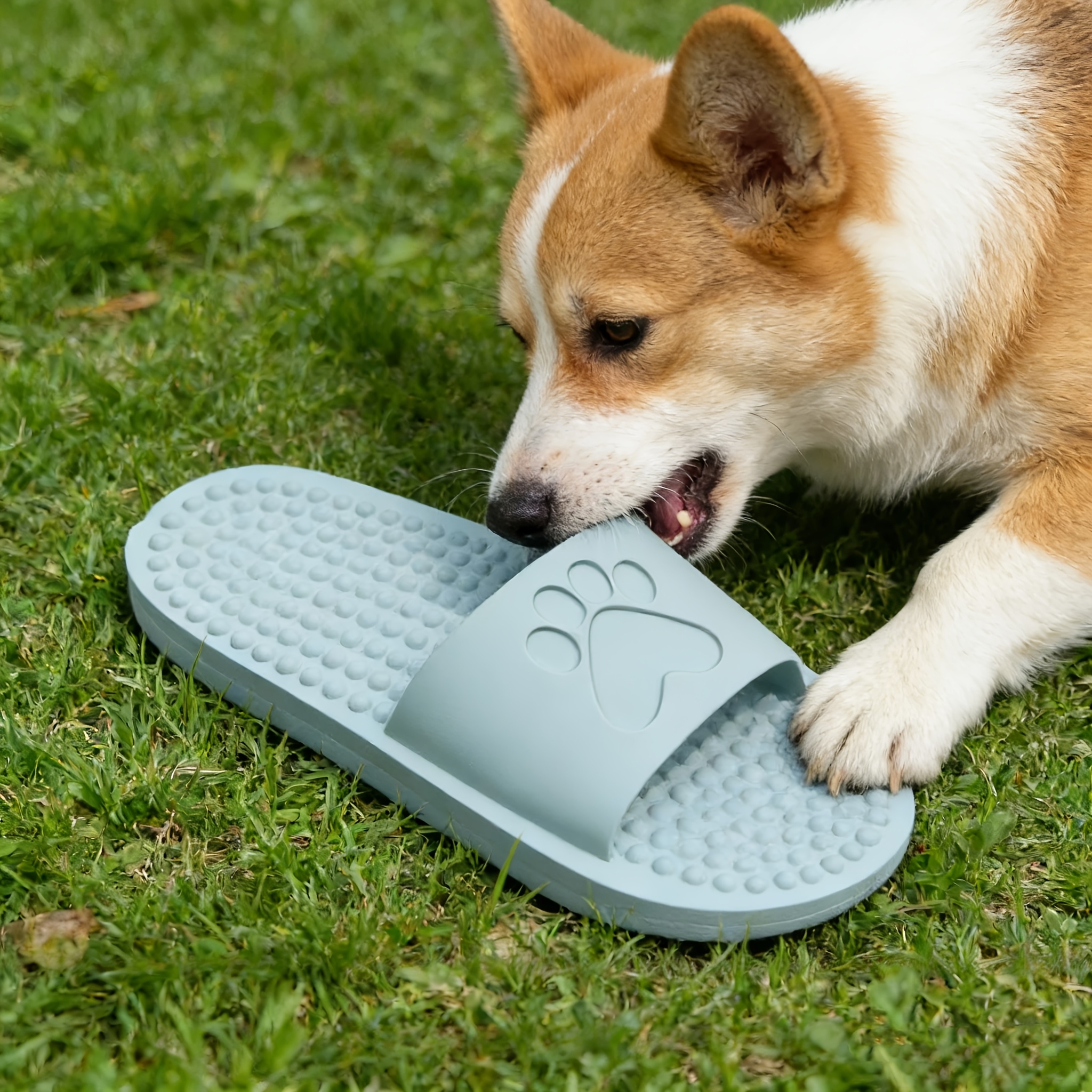 a squeaking slipper toy suitable for puppies pet cats and dogs a colorful interactive squeaky chew toy for small to medium sized dogs dog shoe toy