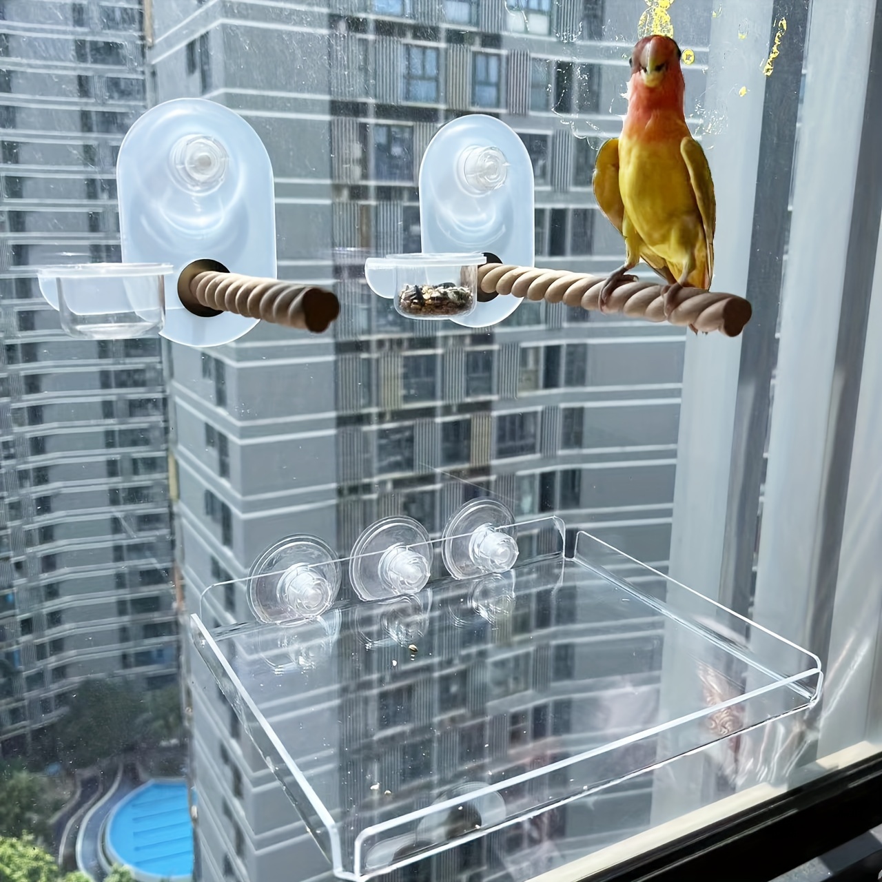 

1pc Clear Acrylic Bird Cage Accessory, Suction Cup Tray For Parrot Food Catching, Bird For Acrylic Glass