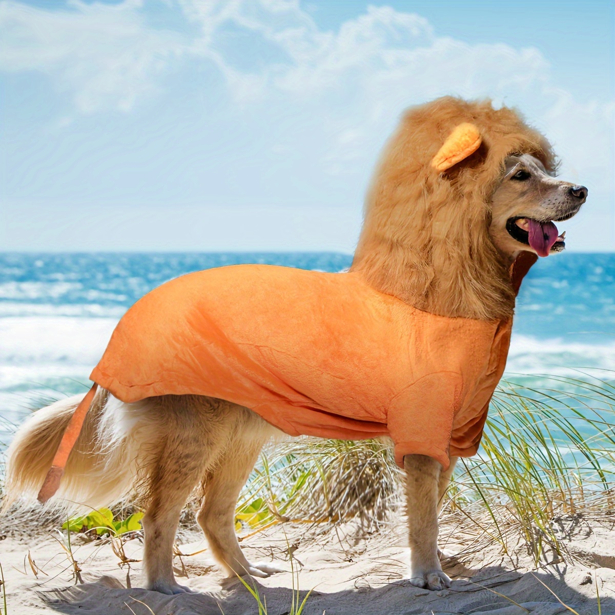 Halloween Costume Mare Per Cane Costume Da Leone Per Cani Di