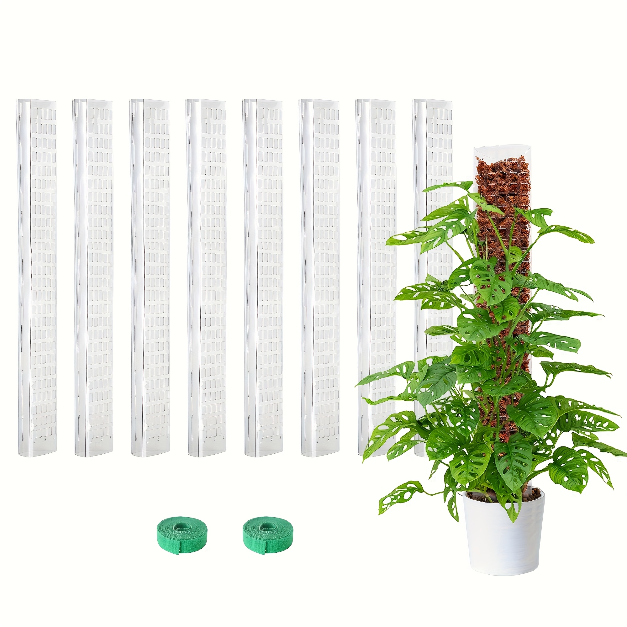saatgut pferdeweide mit kräutern MRS Seeds & Mixtures Kräutermischung Pferdeweide – Mulder Retail B.V