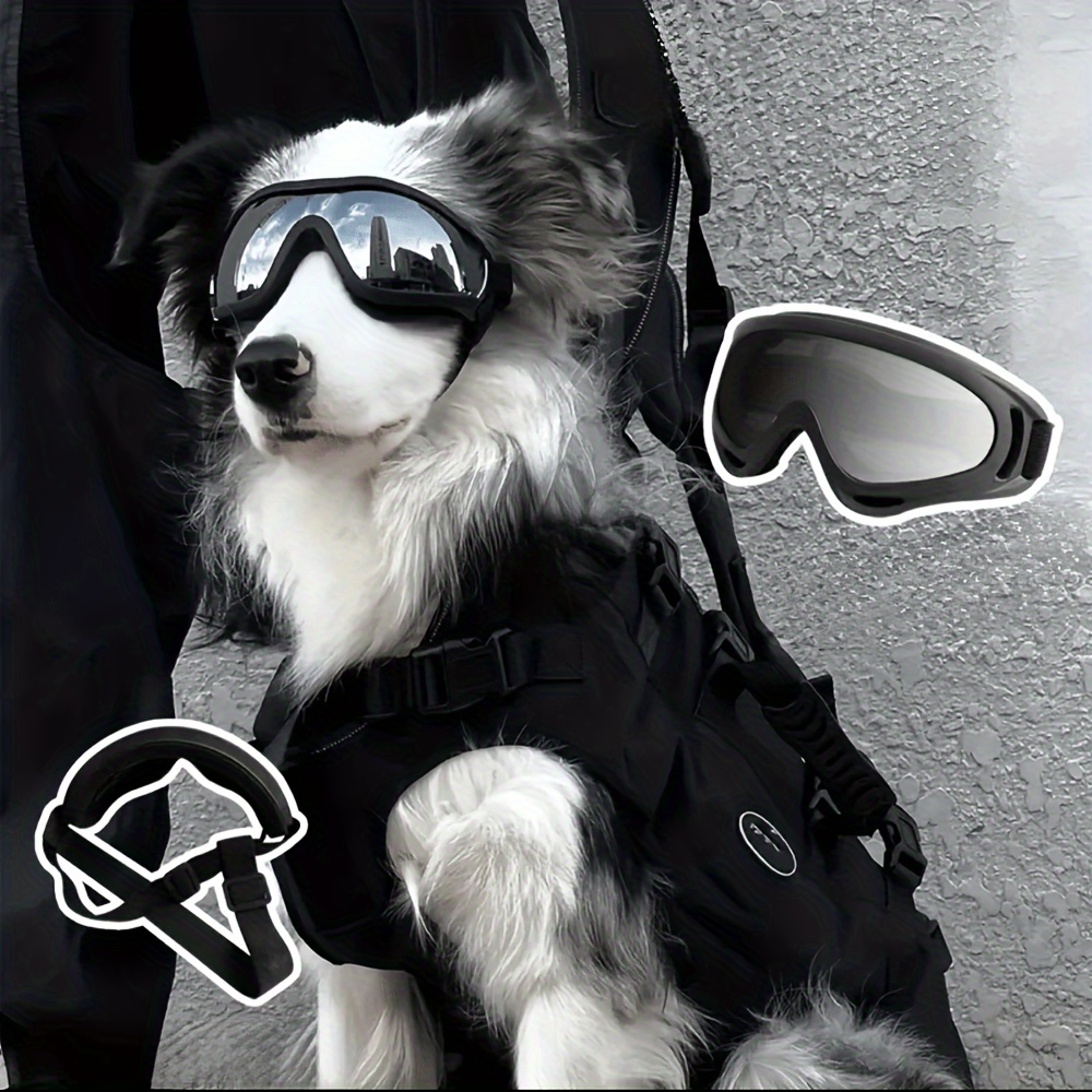 

1pc Pet Dog , - Size, Walking Cycling , Breeds