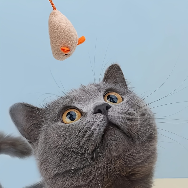 random 3 7 10pcs cat toys mice kitten toys self entertainment interactive toys realistic vanilla mouse interactive cat toys without battery Product details 5