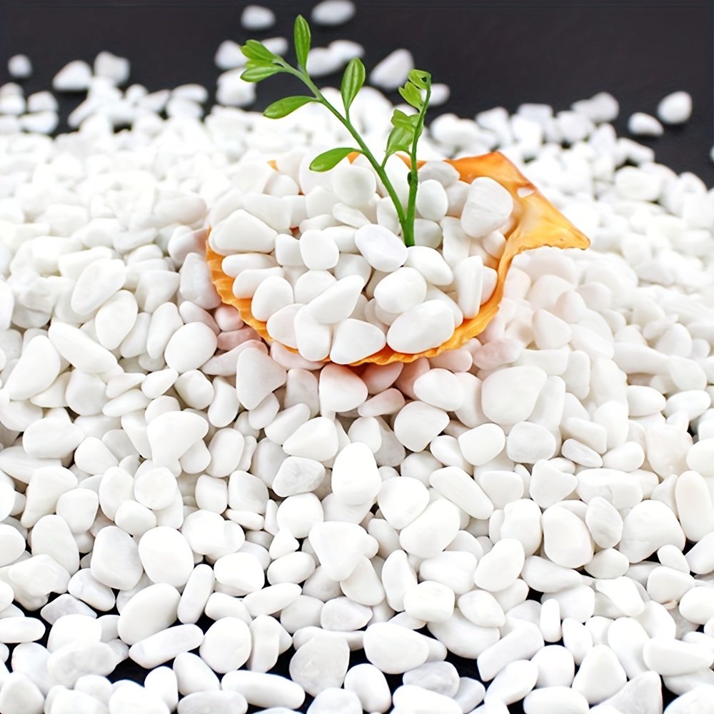 

White Matte Gravel Stones, /300g - Decorative Rocks For Indoor Plants, Vase Filler, Aquariums & Succulents