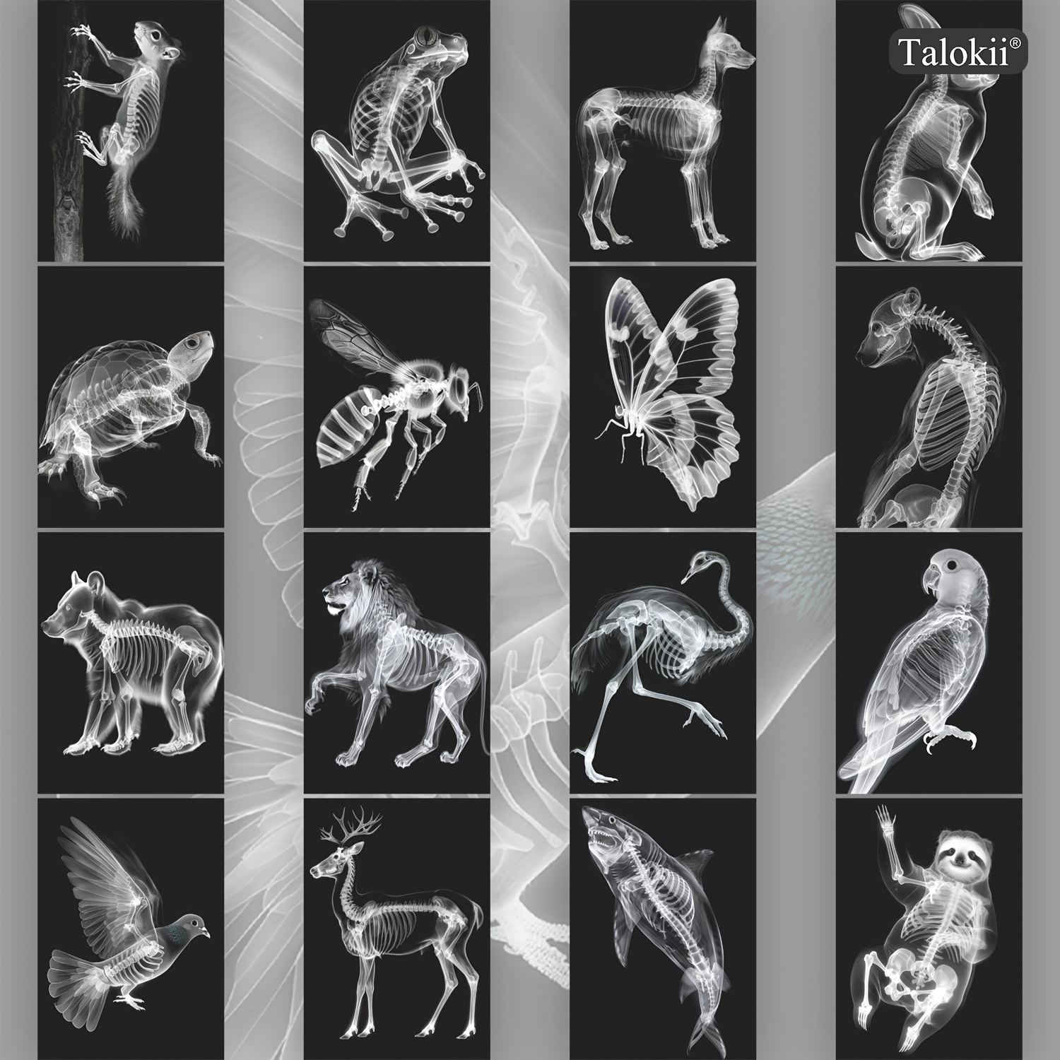 TEMU Set da 16 cartoline con scheletro di animali a X su sfondo , 10X14 cm (4X6 pollici), carte trasparenti di anatomia ossea della fauna selvatica